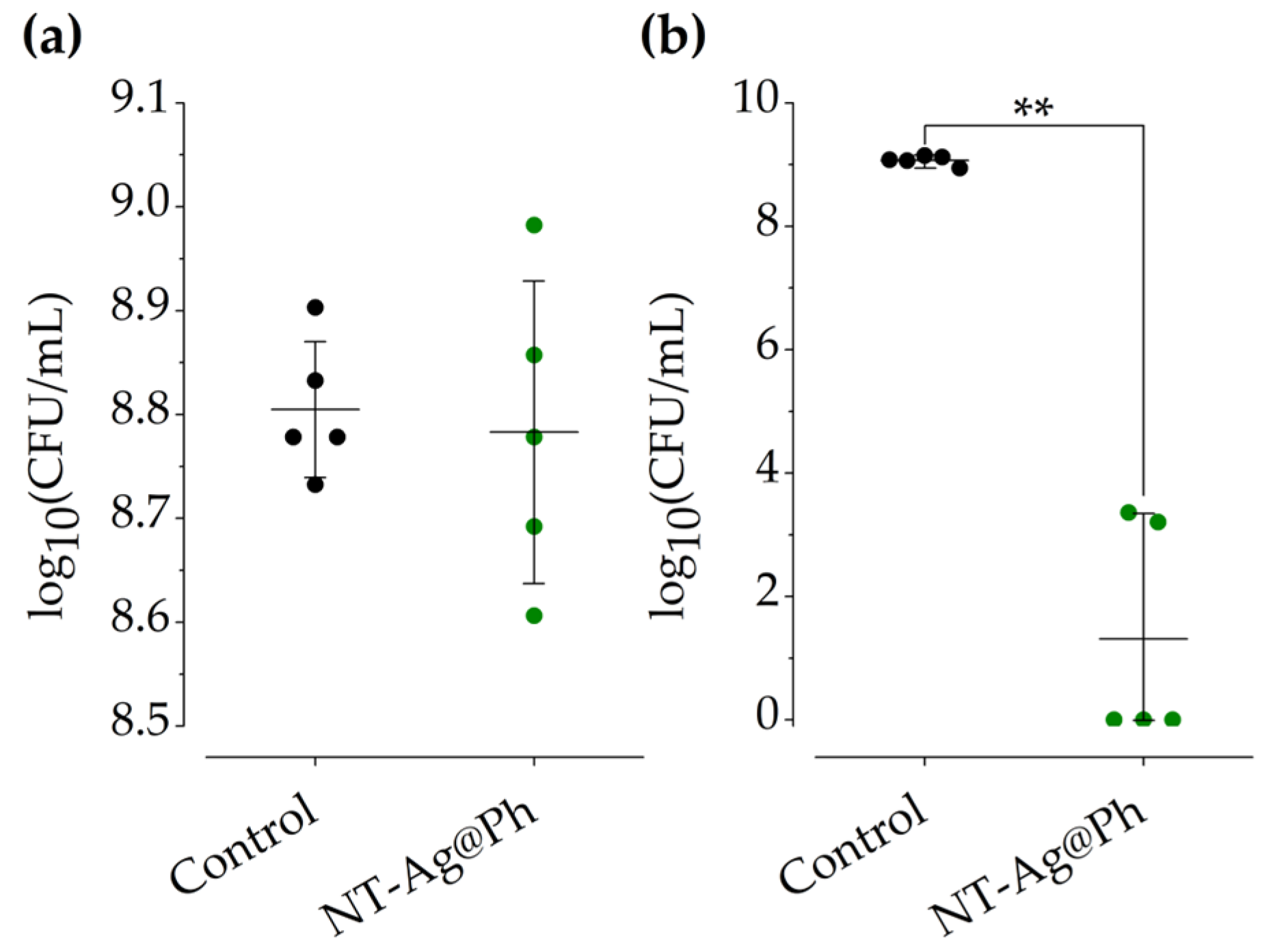 Pharmaceuticals 15 00884 g005
