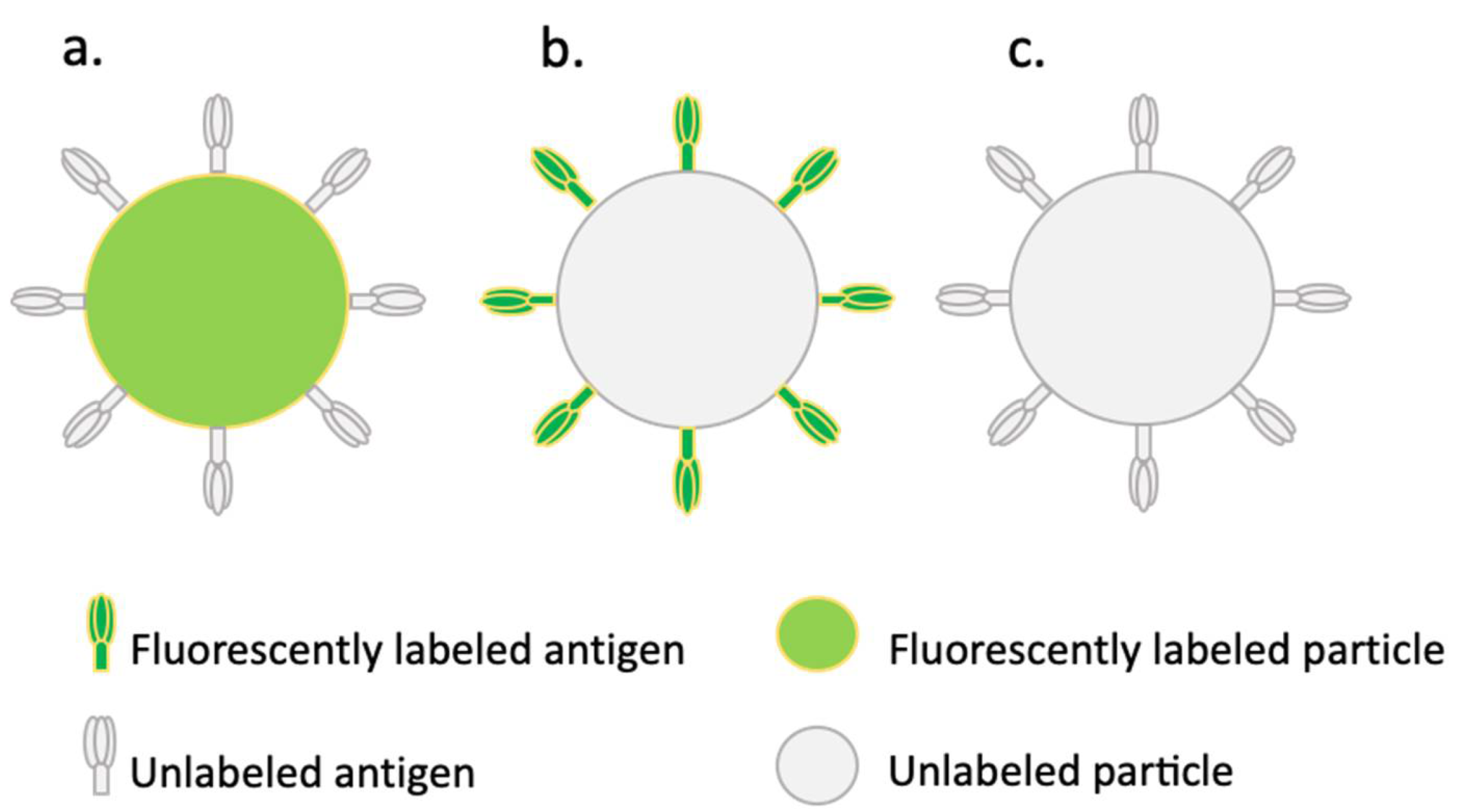 Pharmaceuticals 15 00887 g001