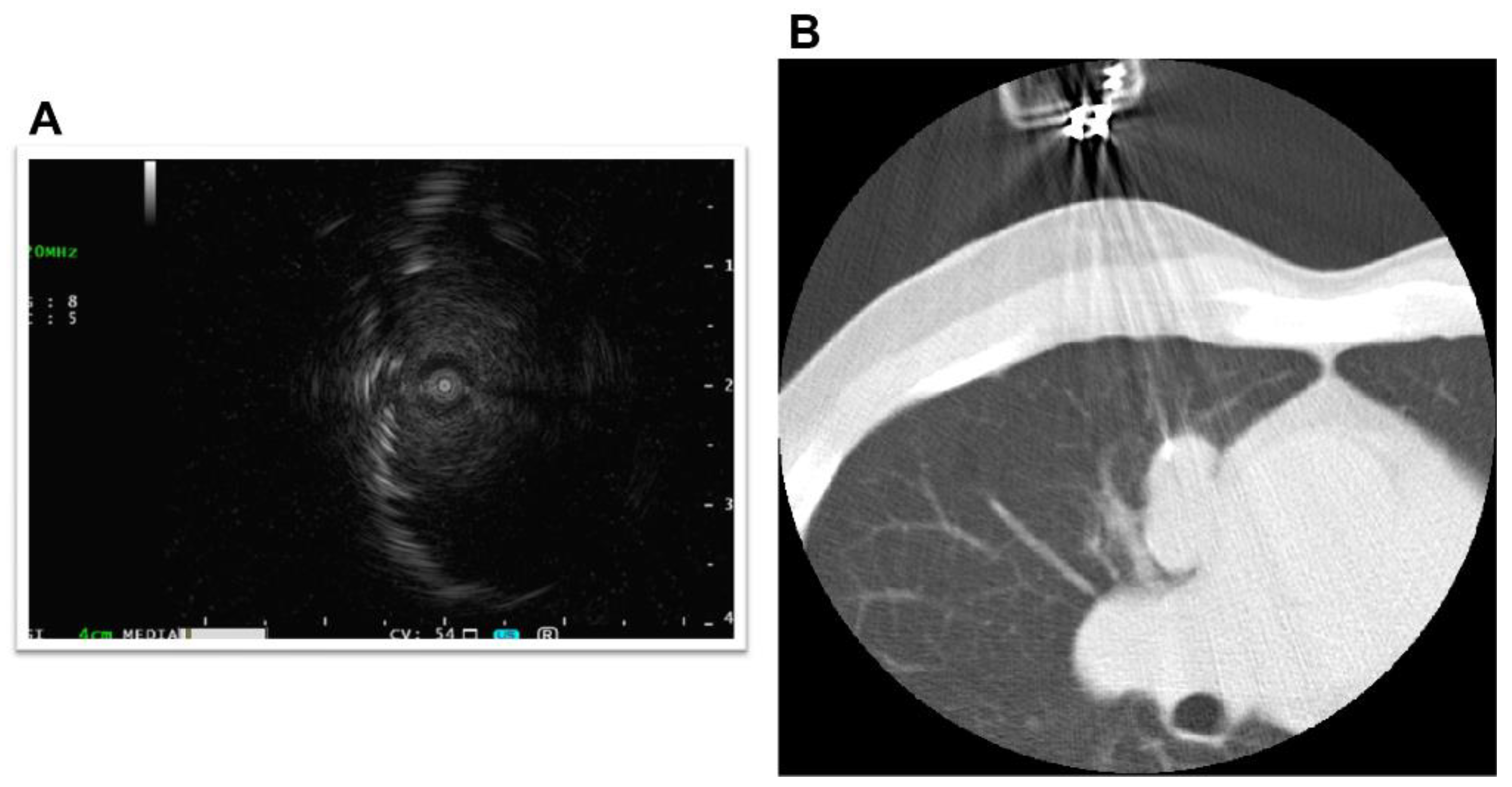 Pharmaceuticals 15 00889 g002