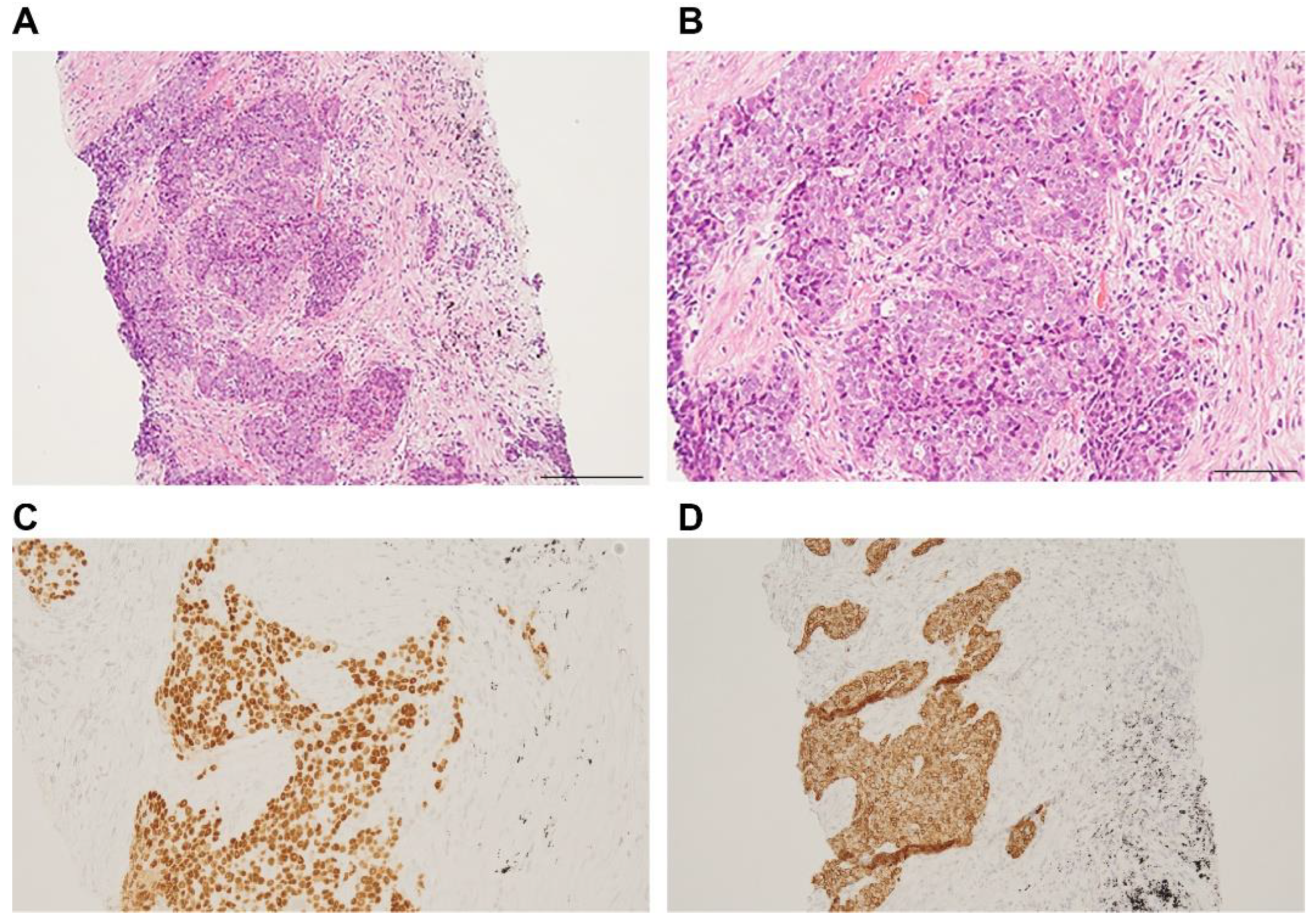 Pharmaceuticals 15 00889 g003