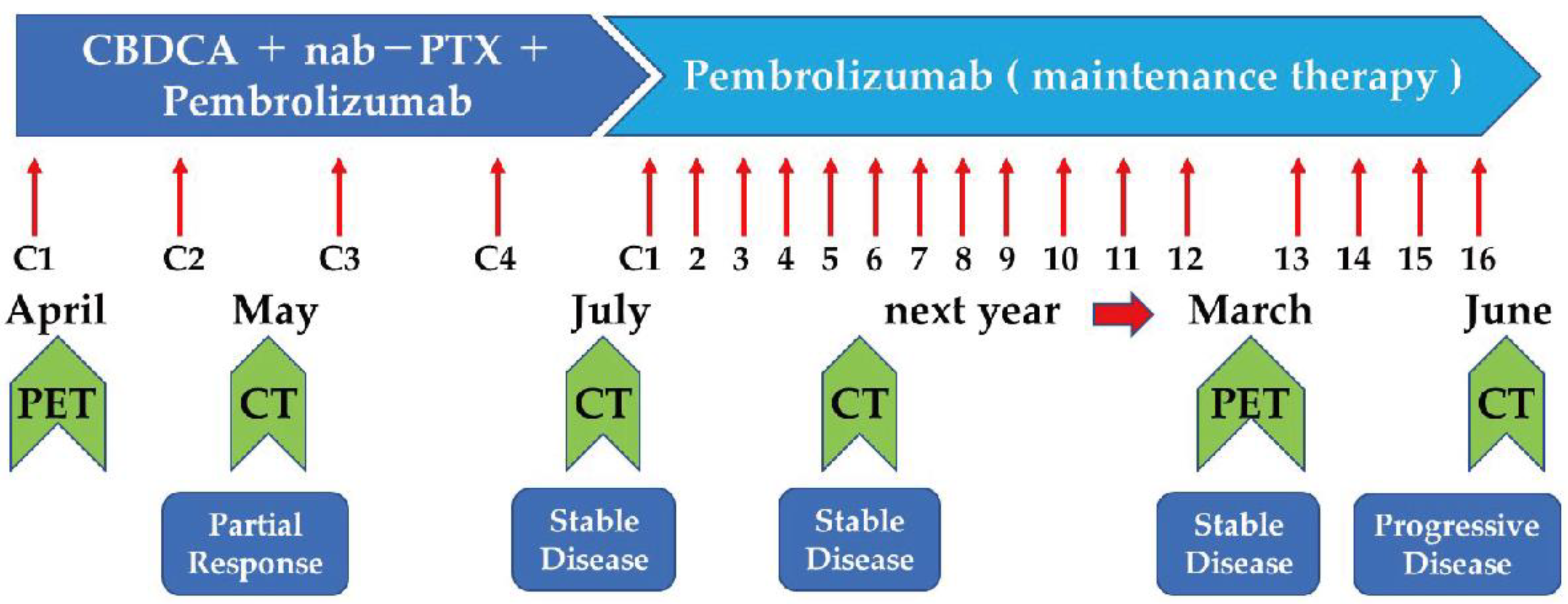 Pharmaceuticals 15 00889 g005