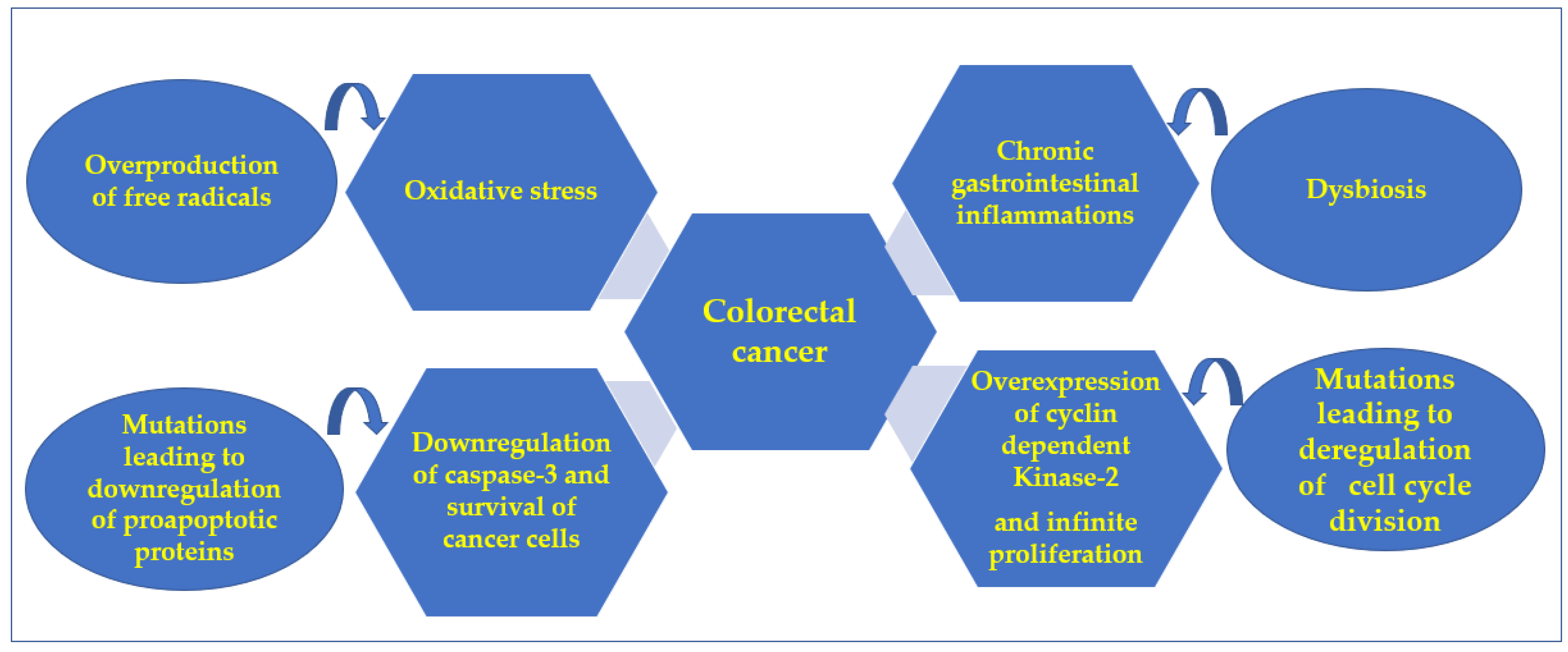 Pharmaceuticals 15 00891 g001