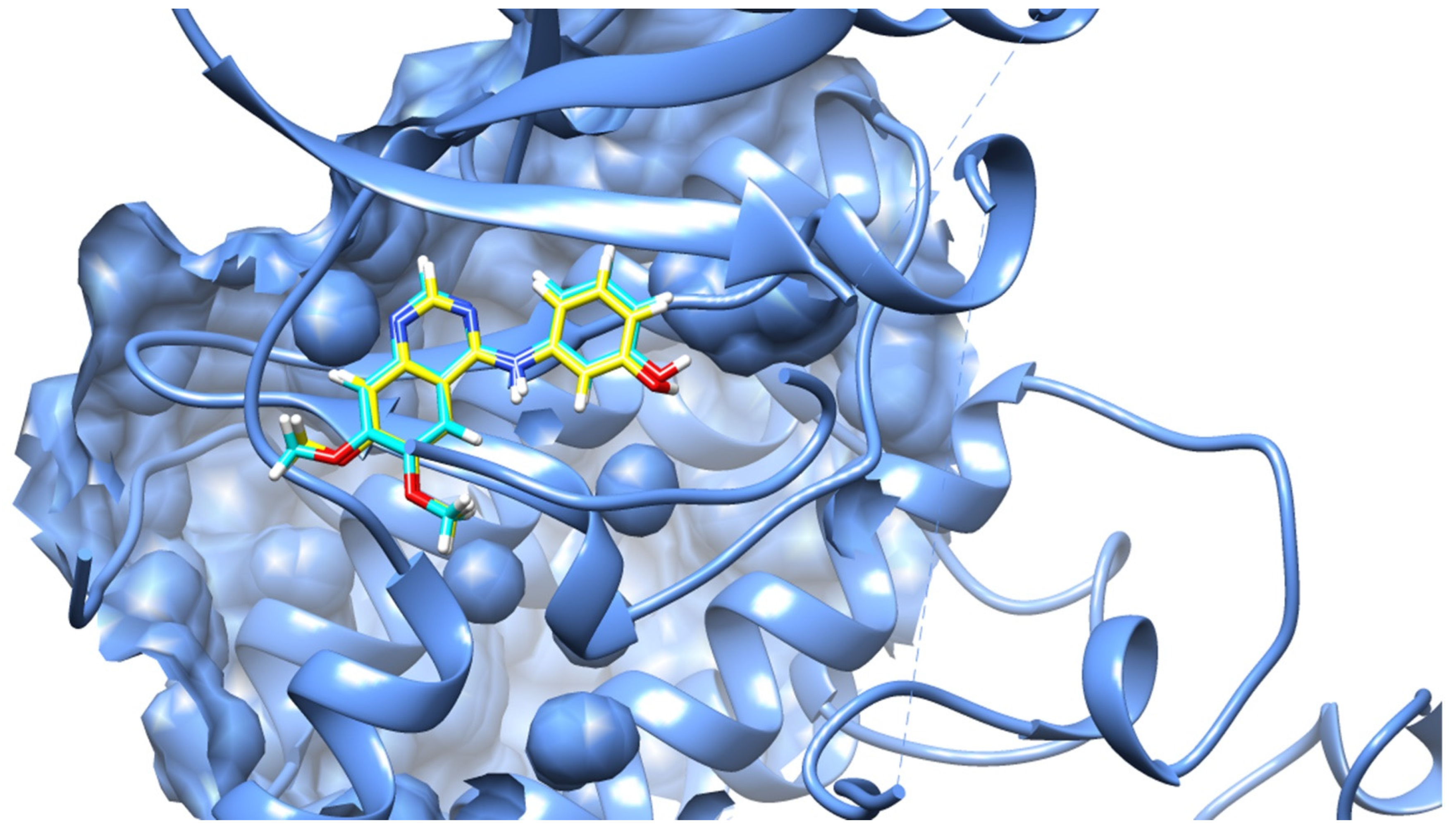 Pharmaceuticals 15 00891 g004