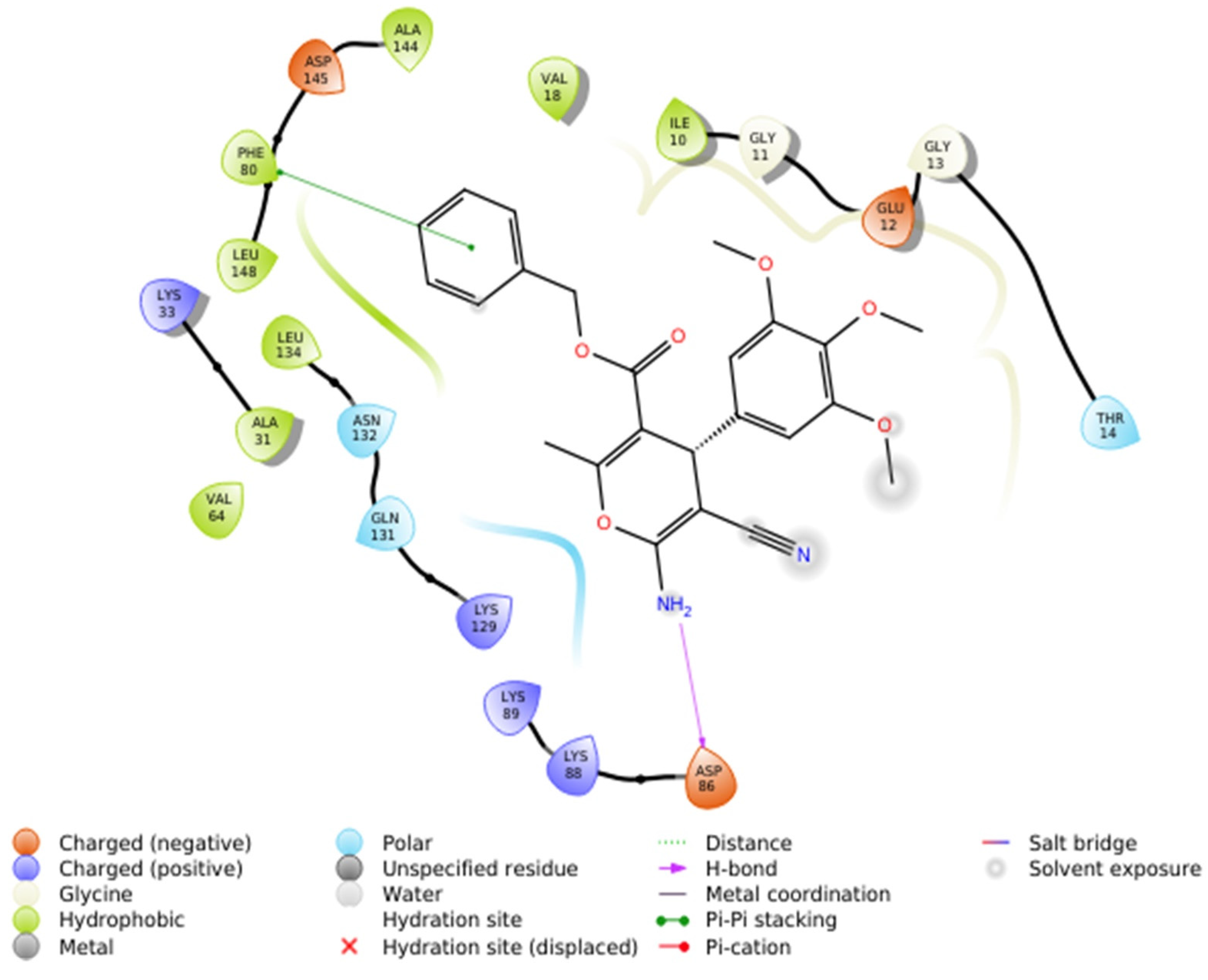 Pharmaceuticals 15 00891 g010