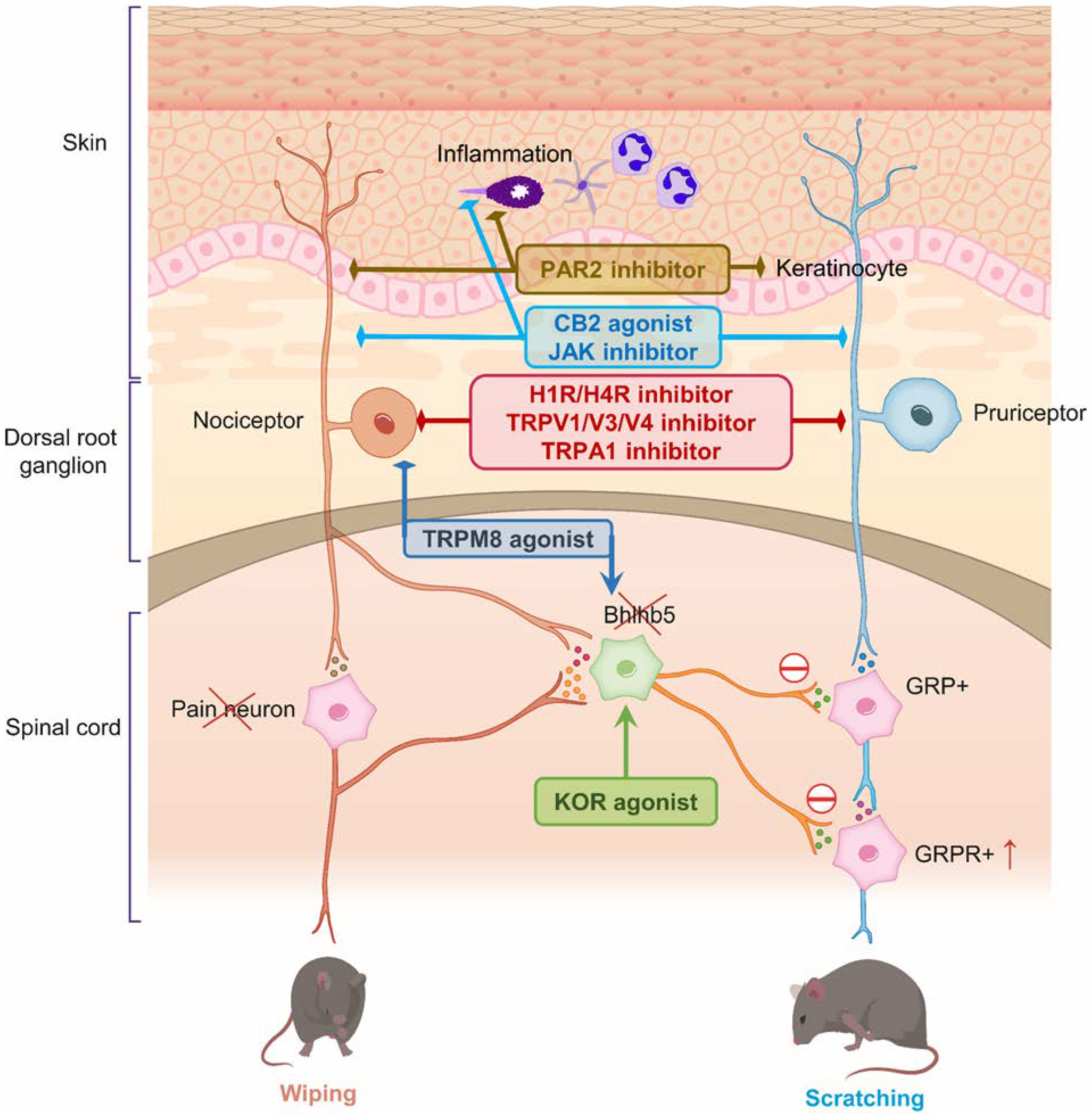 Pharmaceuticals 15 00892 g002 Pharmaceuticals 15 00892 g002