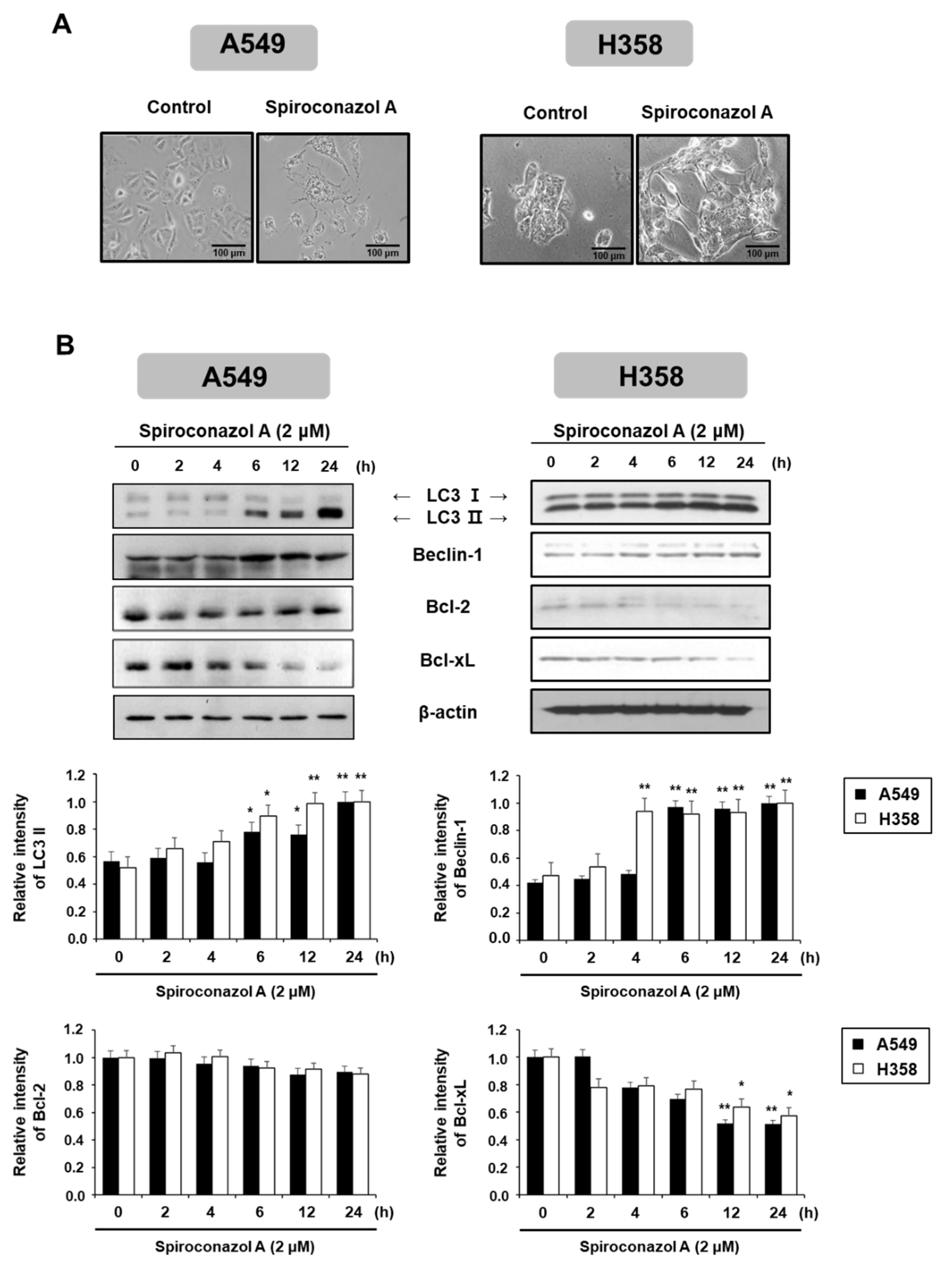 Pharmaceuticals 15 00893 g002 Pharmaceuticals 15 00893 g002