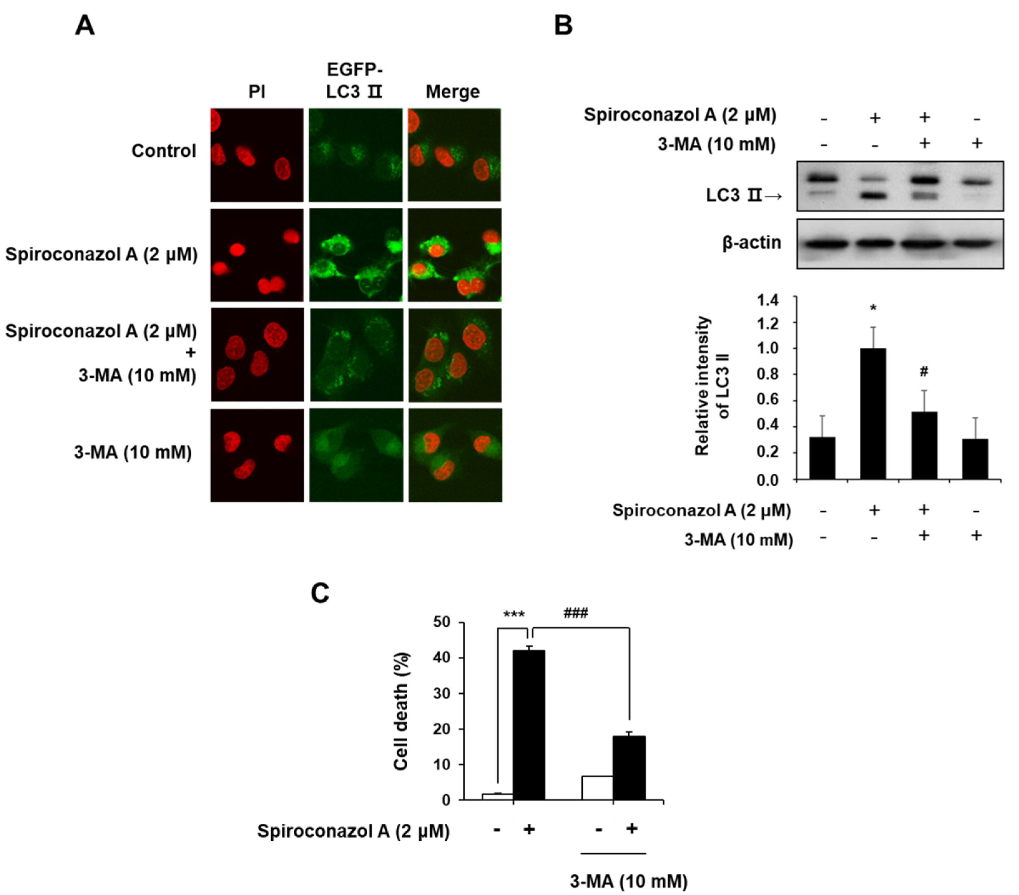 Pharmaceuticals 15 00893 g003 Pharmaceuticals 15 00893 g003