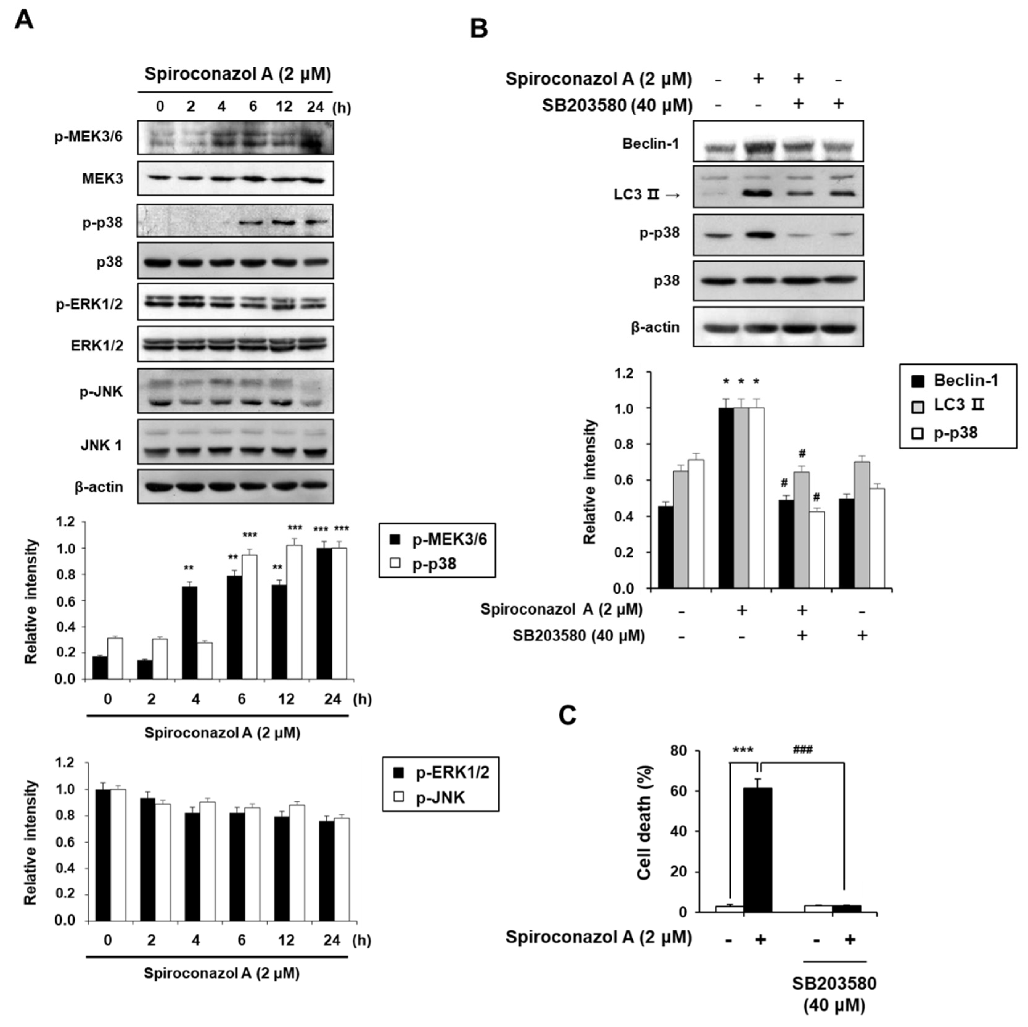 Pharmaceuticals 15 00893 g004 Pharmaceuticals 15 00893 g004