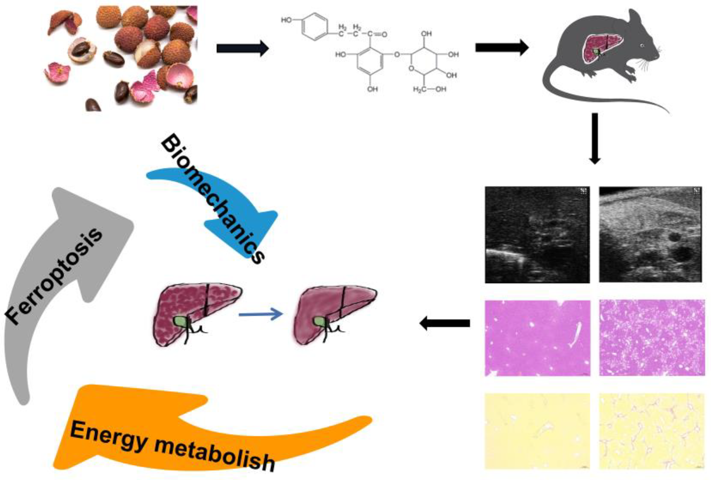 Pharmaceuticals 15 00896 g001