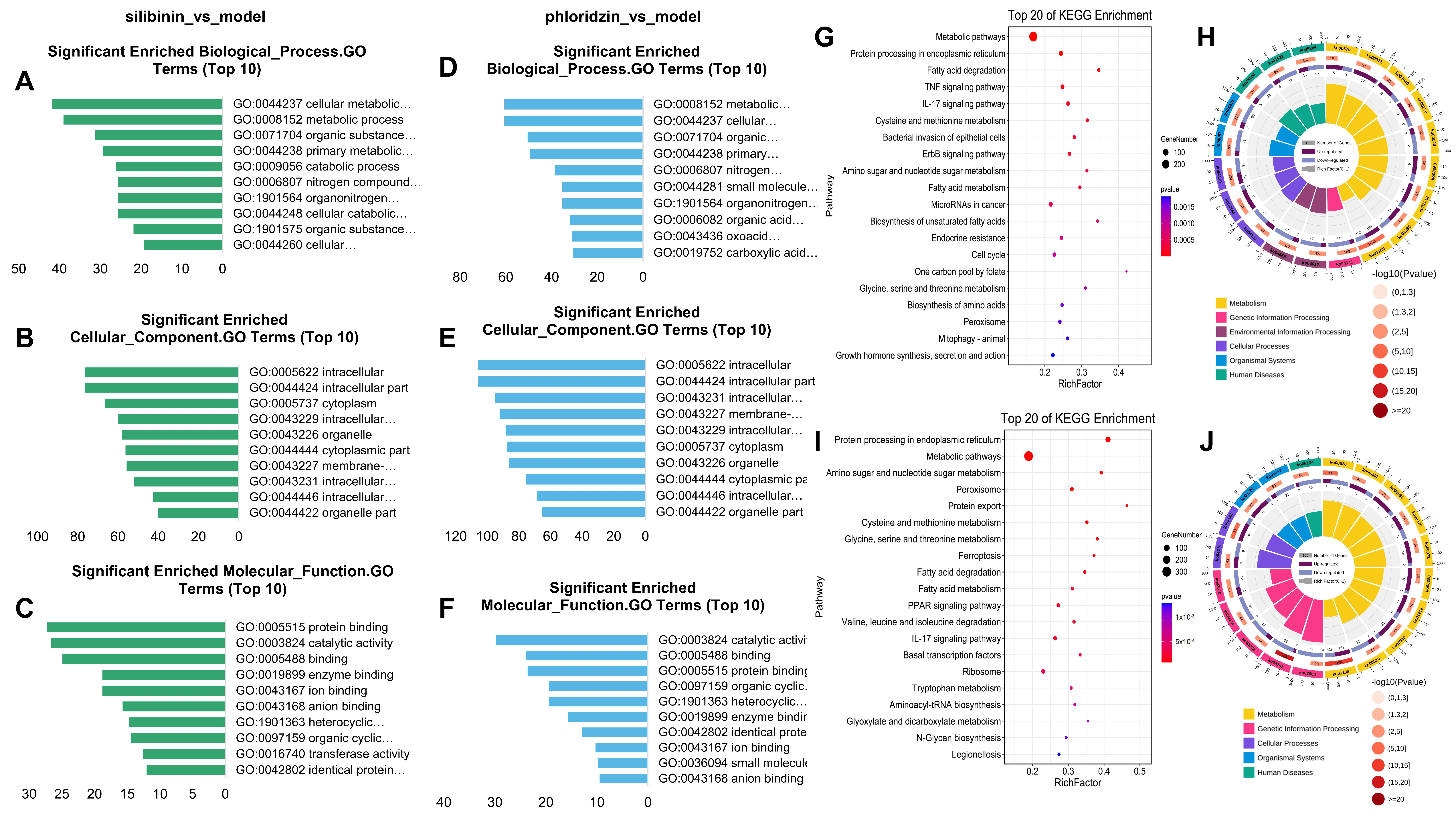 Pharmaceuticals 15 00896 g004