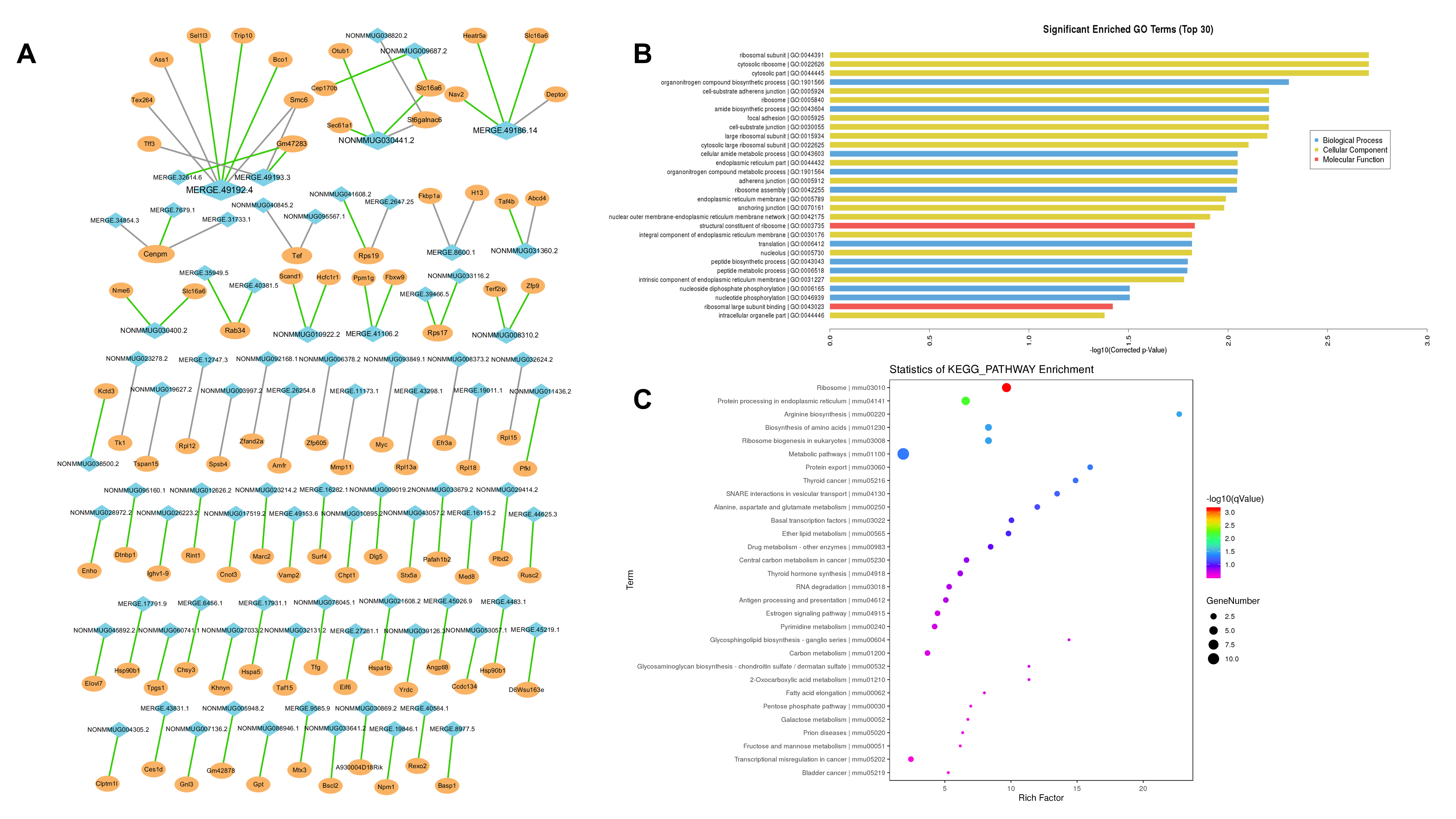 Pharmaceuticals 15 00896 g005