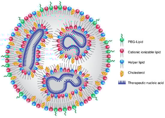 Pharmaceuticals 15 00897 g001 550