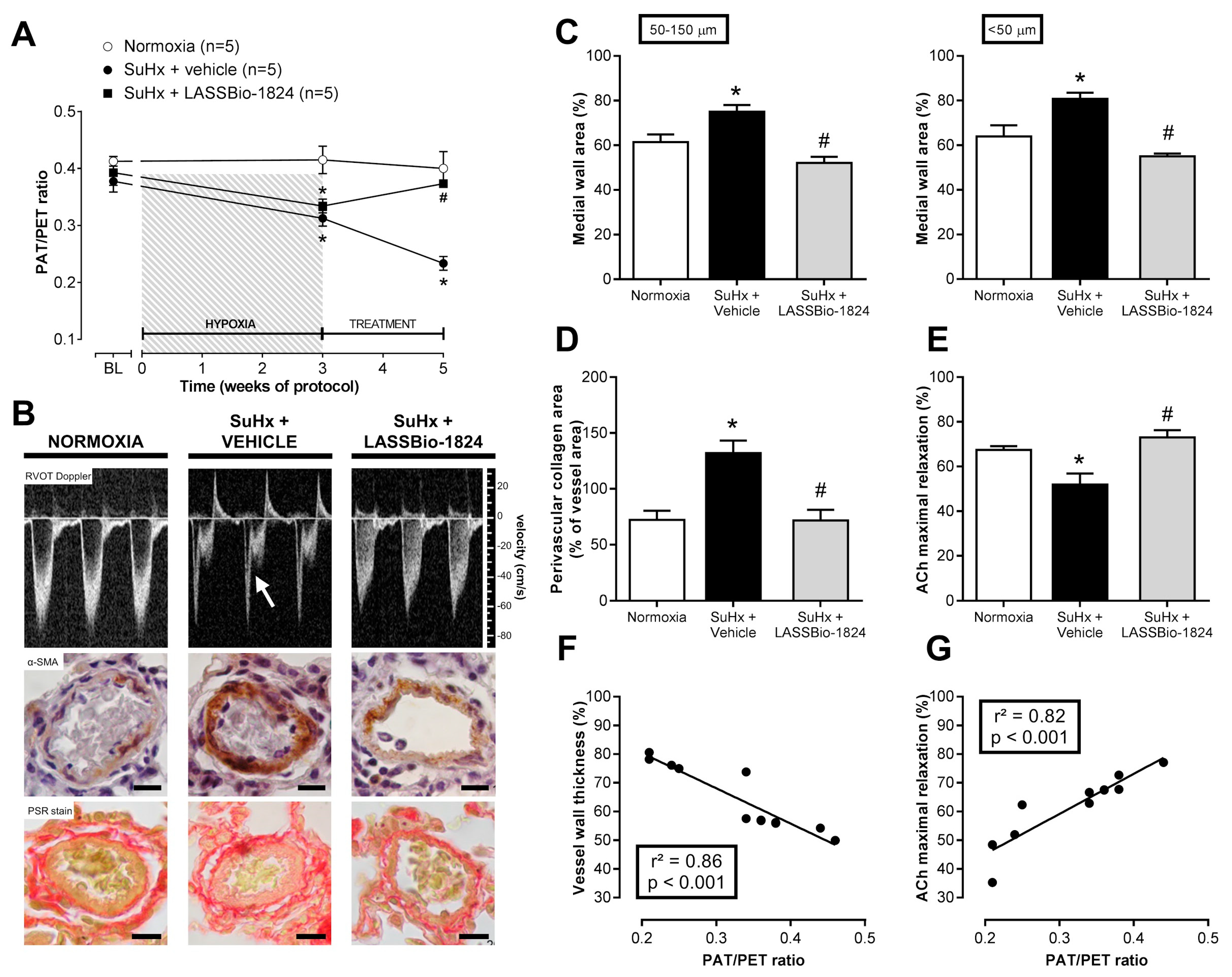 Pharmaceuticals 15 00900 g002