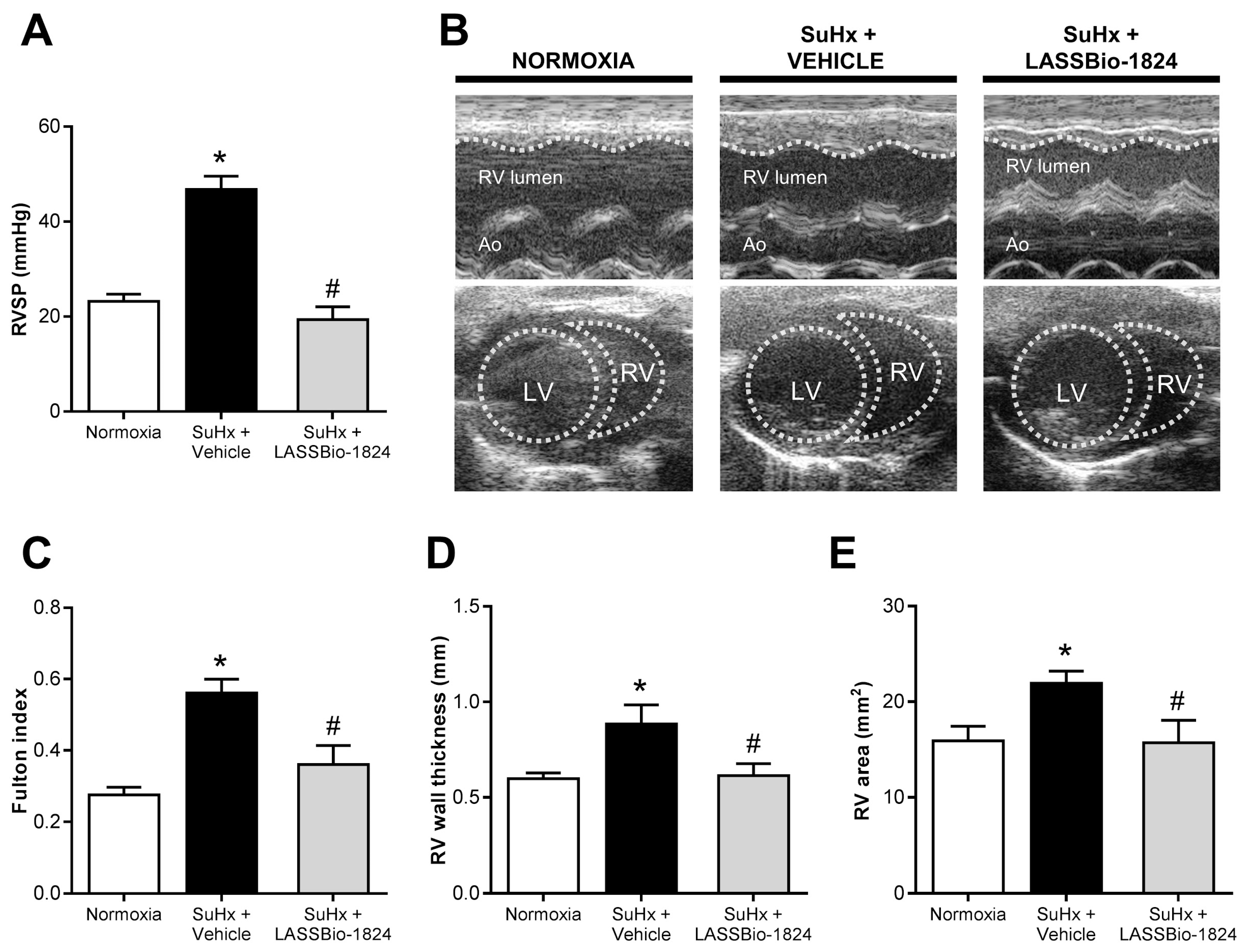 Pharmaceuticals 15 00900 g003