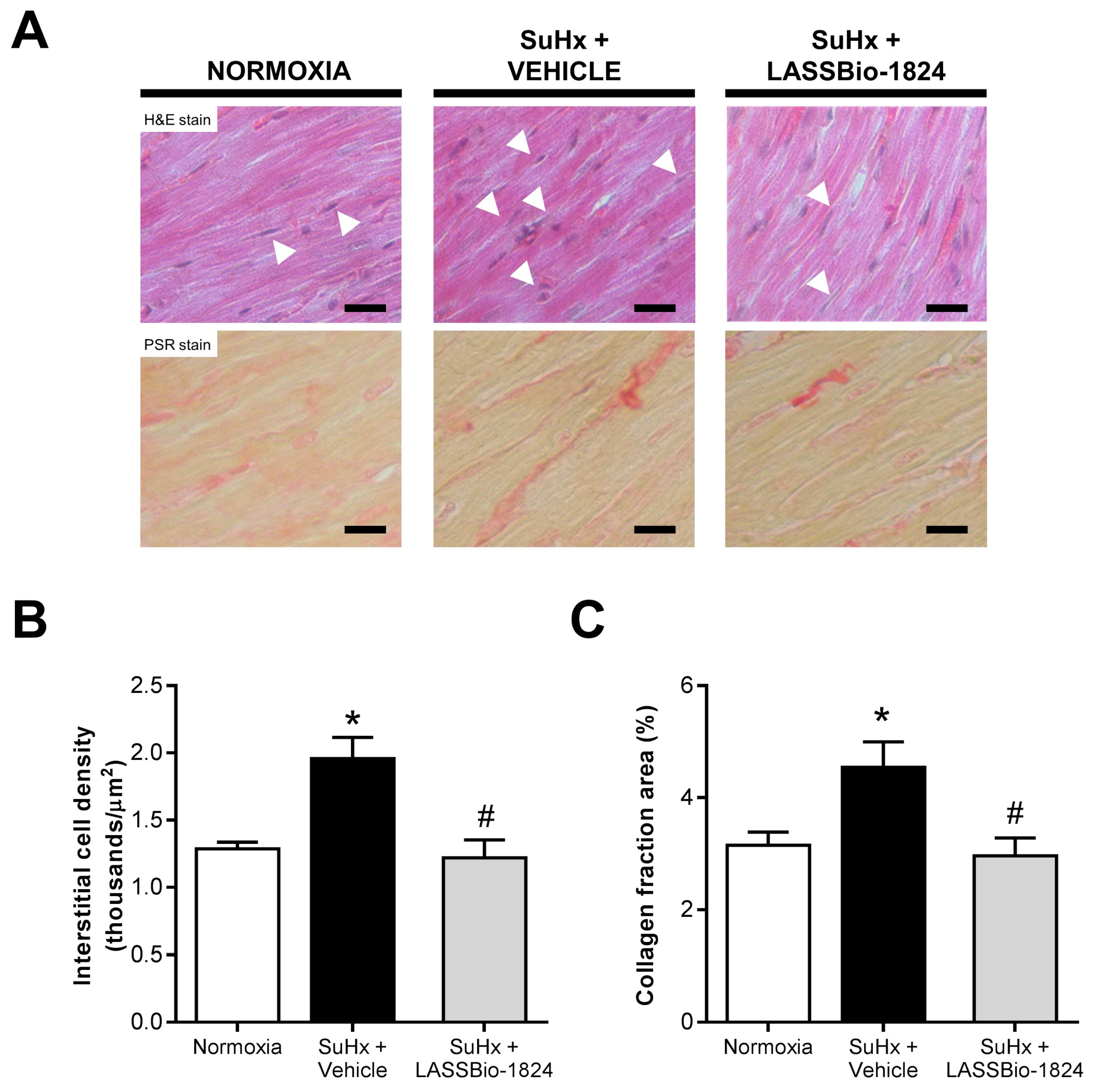Pharmaceuticals 15 00900 g004