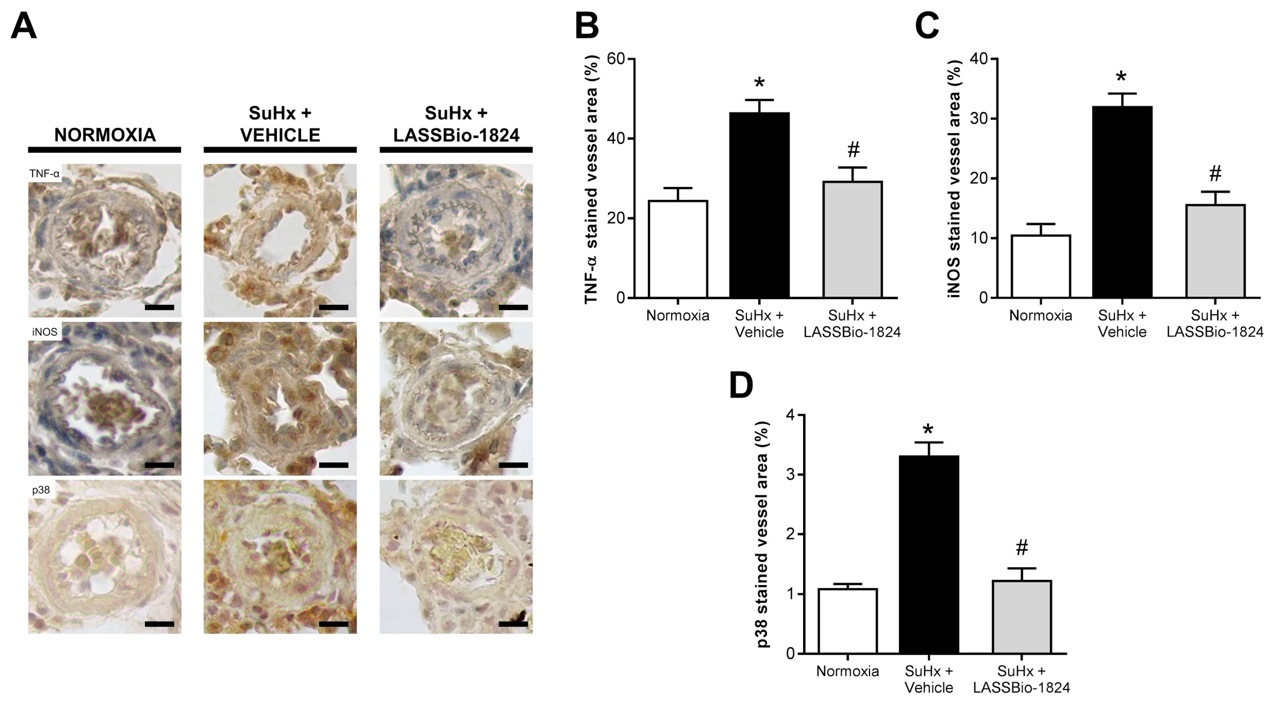 Pharmaceuticals 15 00900 g005