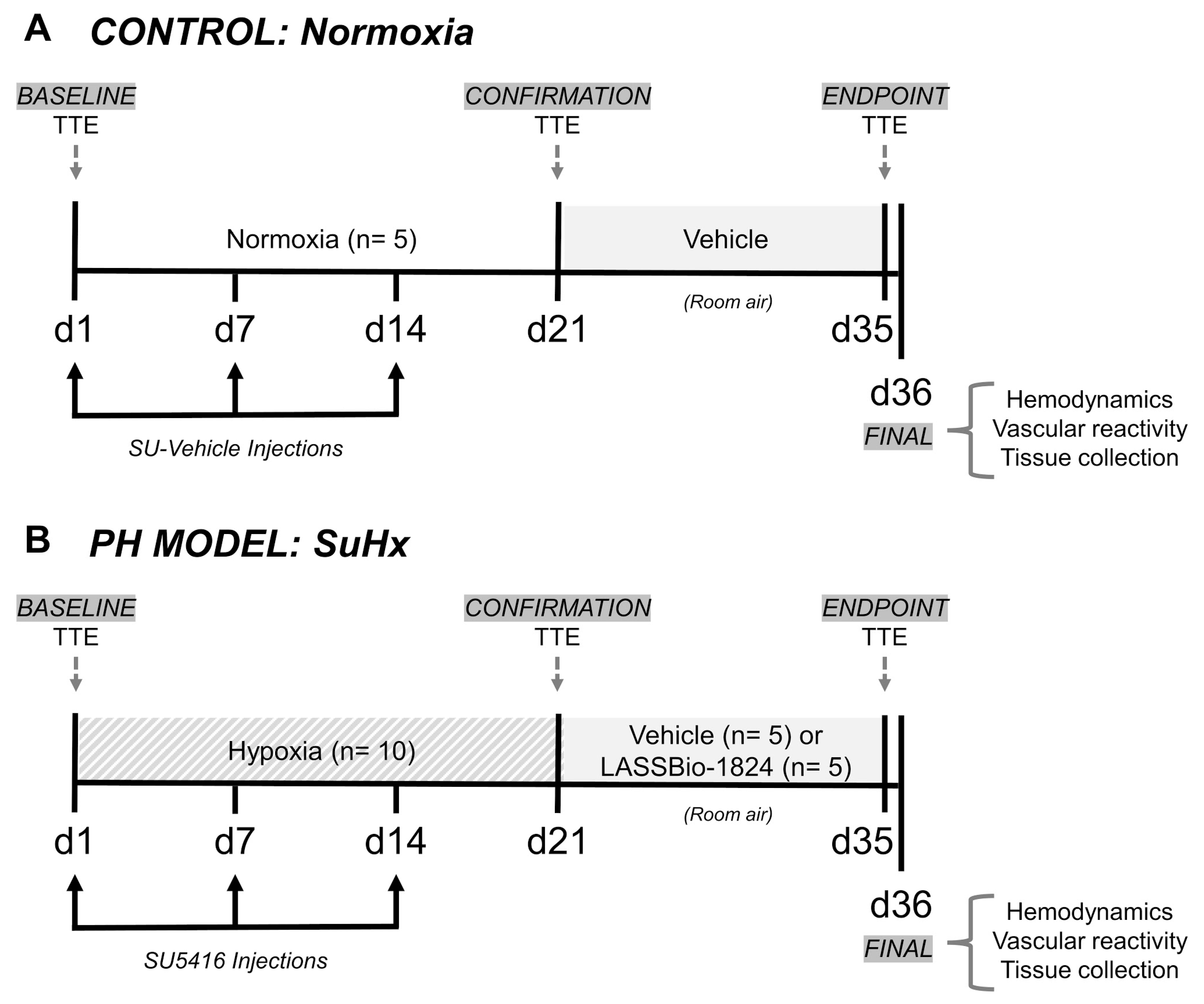 Pharmaceuticals 15 00900 g007