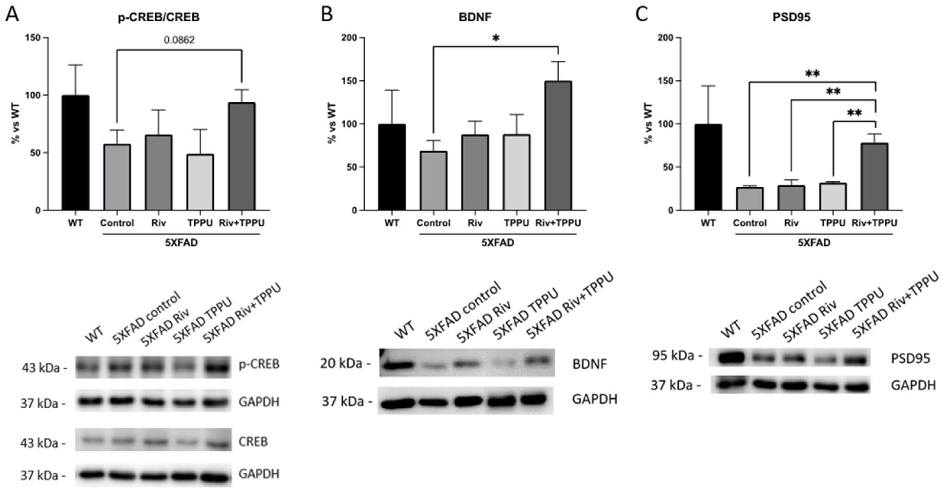 Pharmaceuticals 15 00908 g005