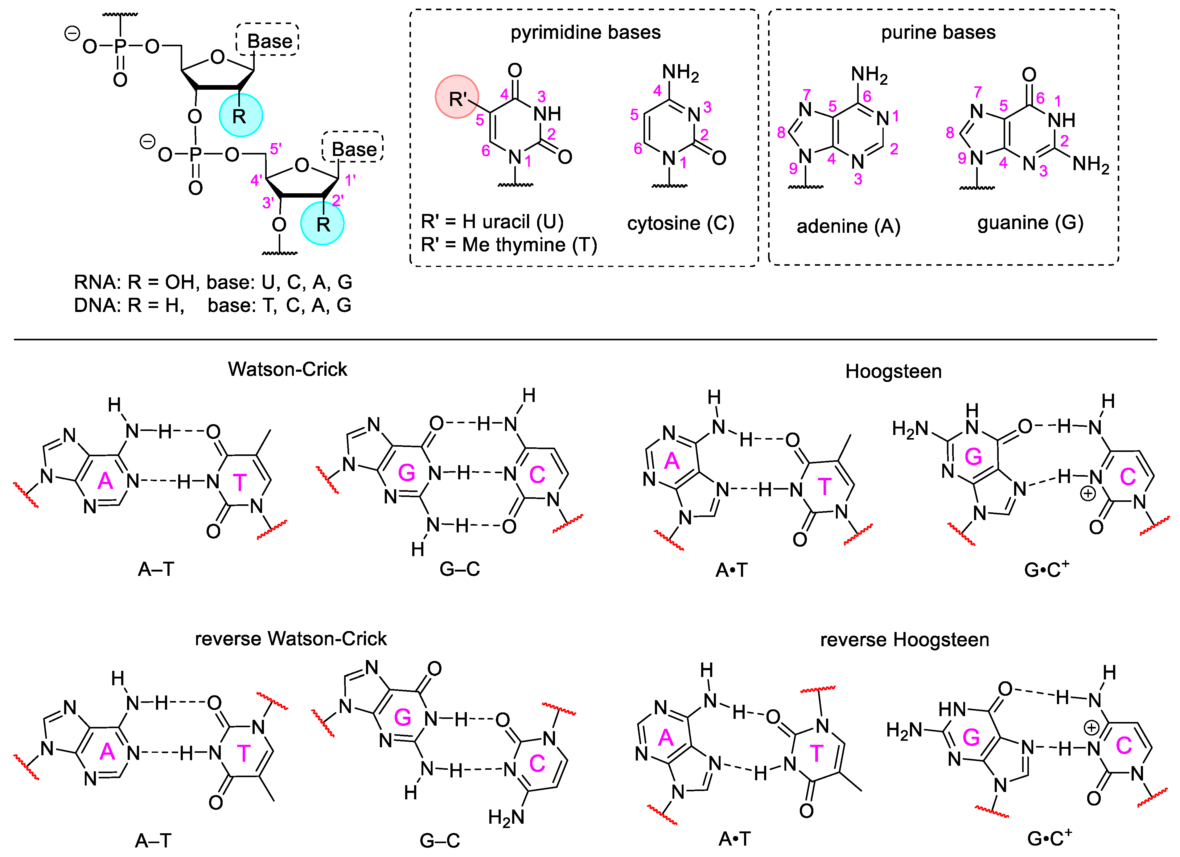 Pharmaceuticals 15 00909 g001