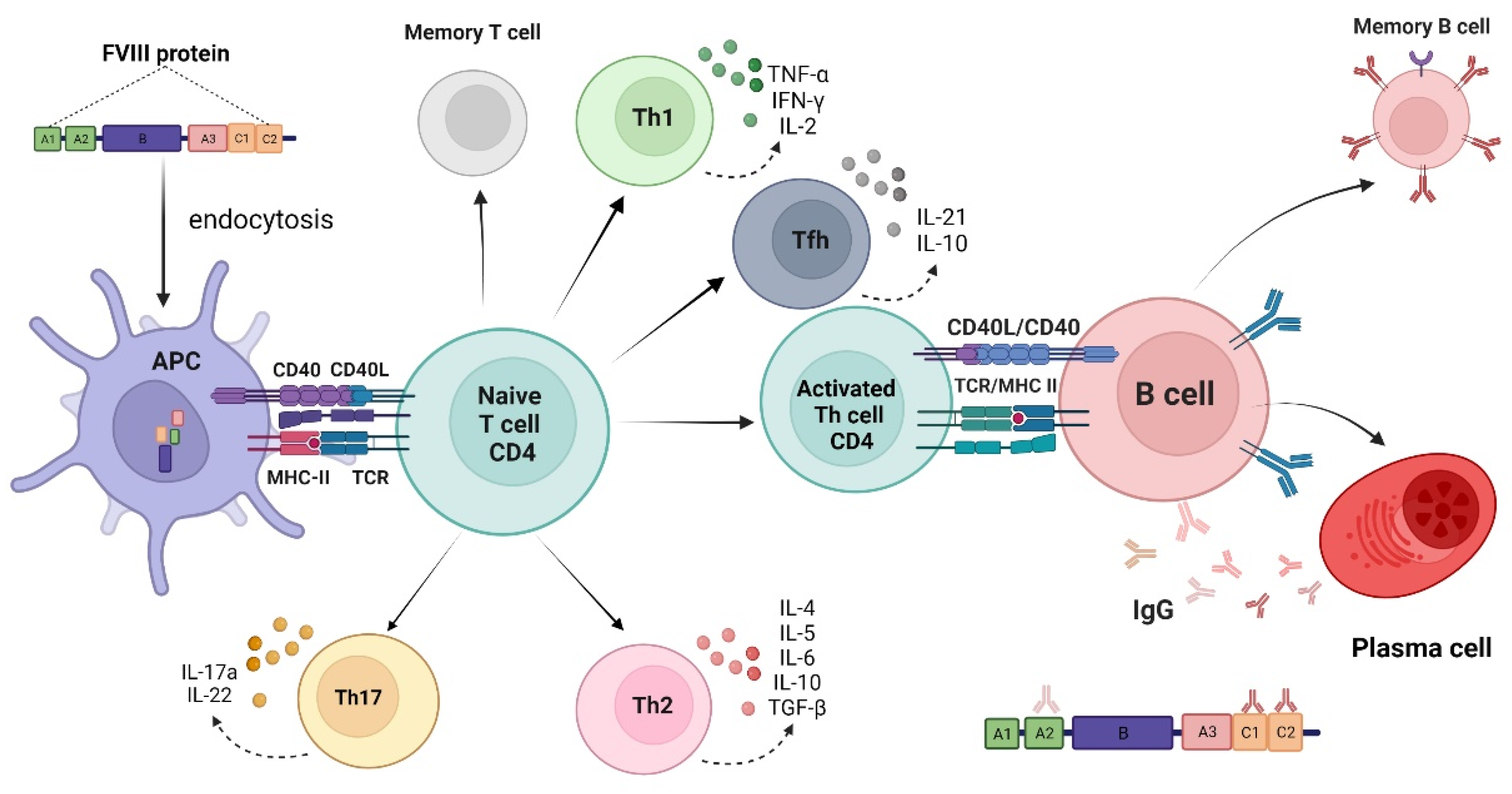 Pharmaceuticals 15 00911 g001
