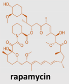 Pharmaceuticals 15 00912 i002