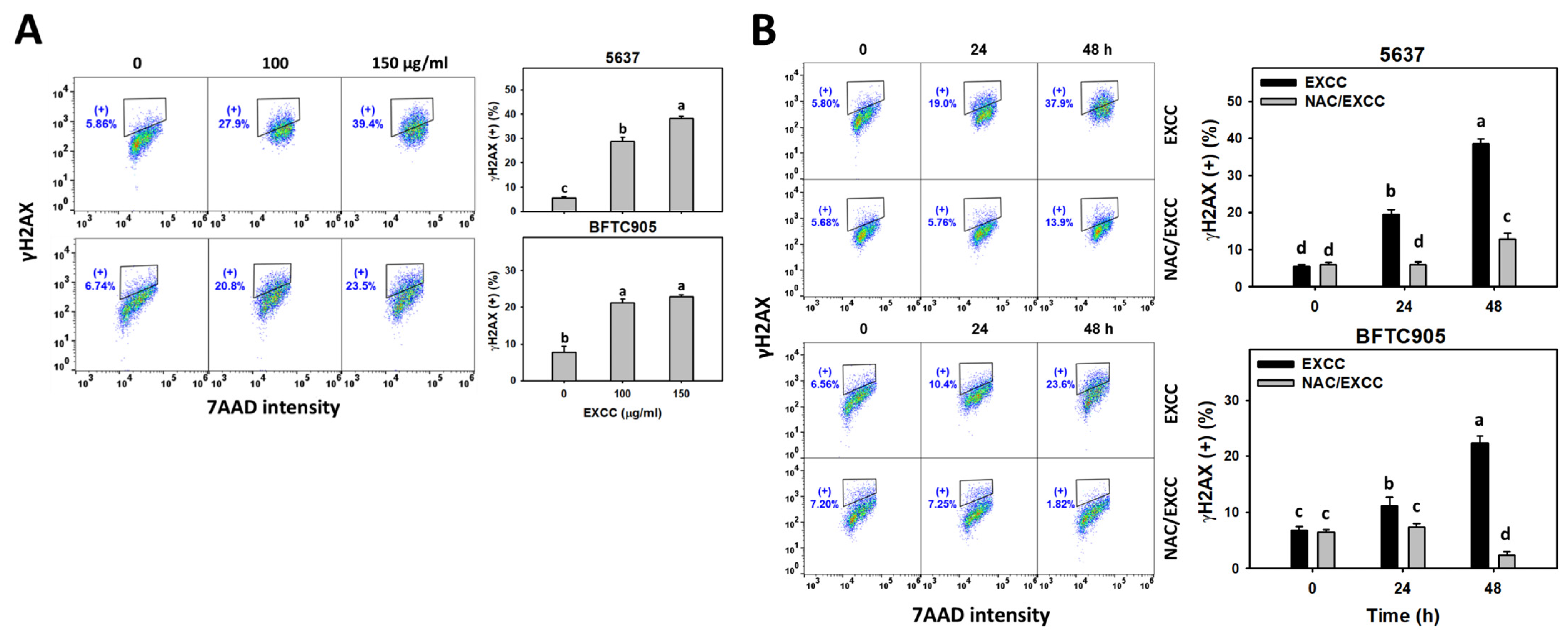 Pharmaceuticals 15 00917 g010