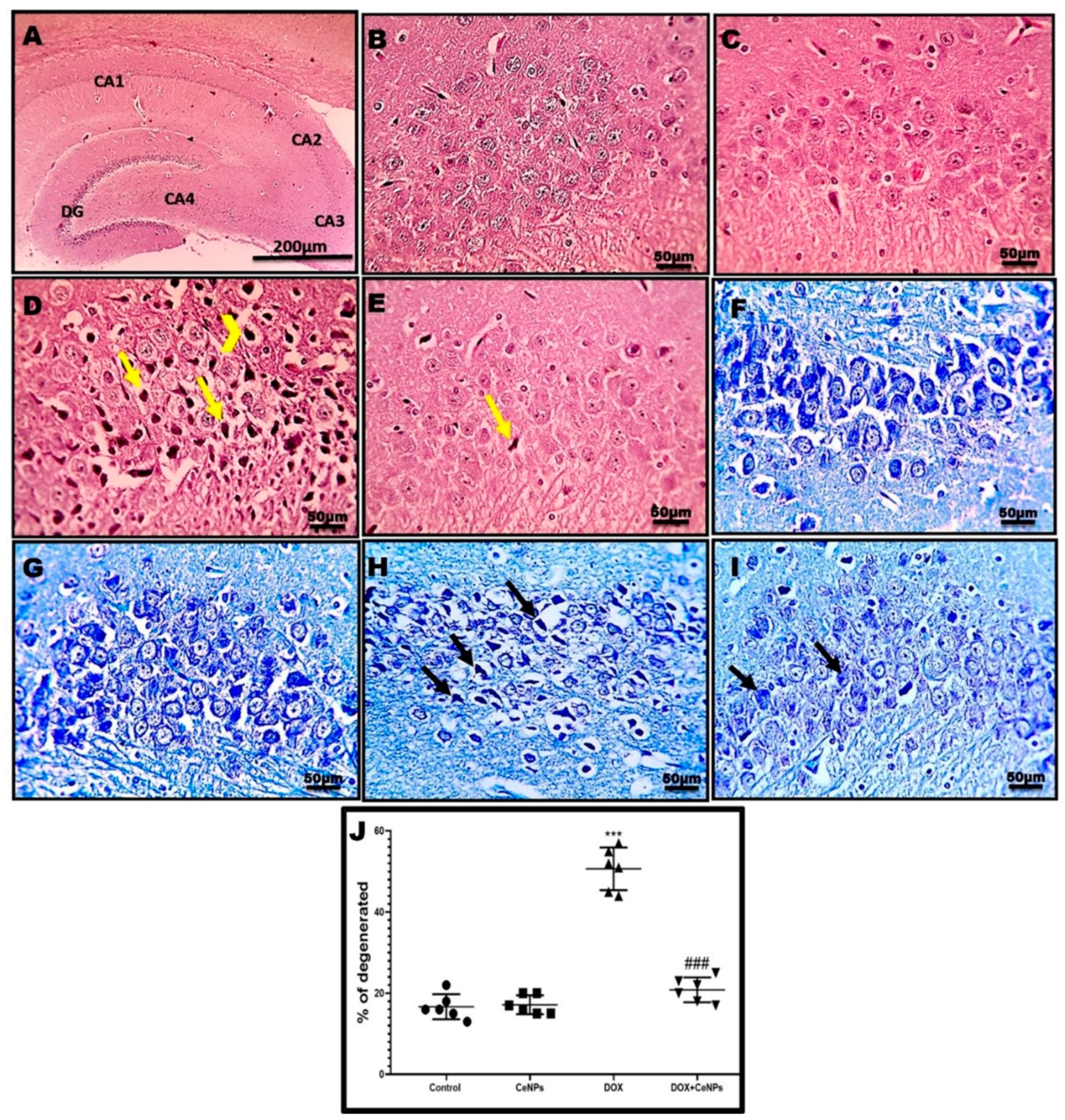 Pharmaceuticals 15 00918 g003