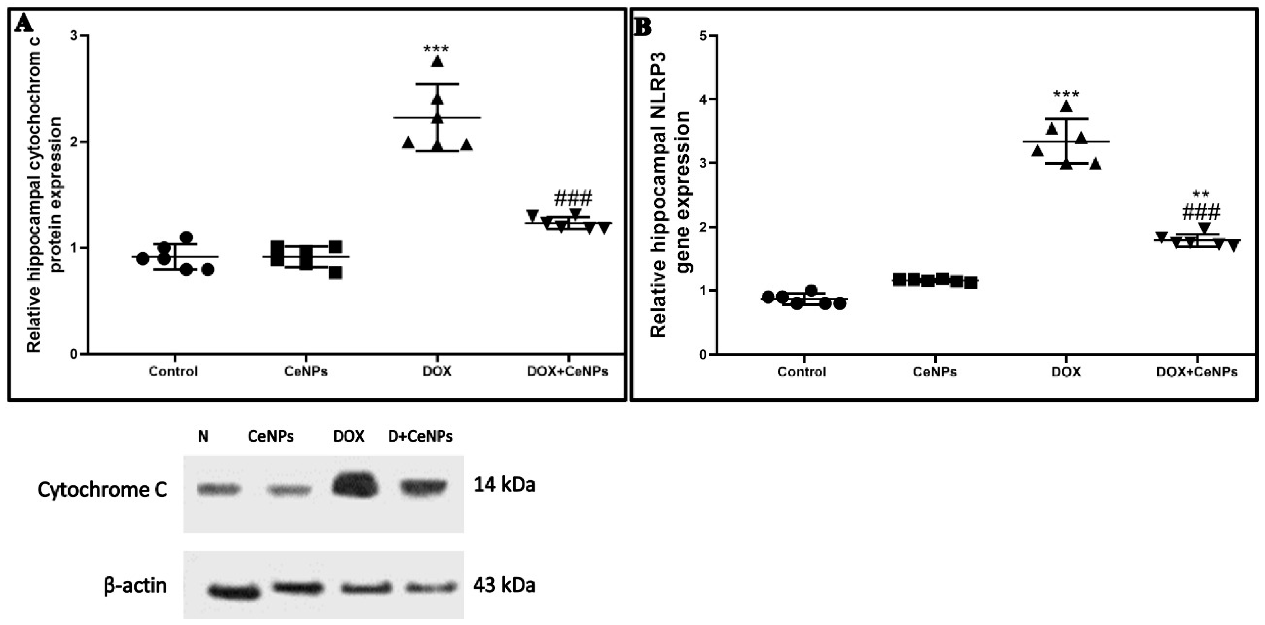 Pharmaceuticals 15 00918 g008