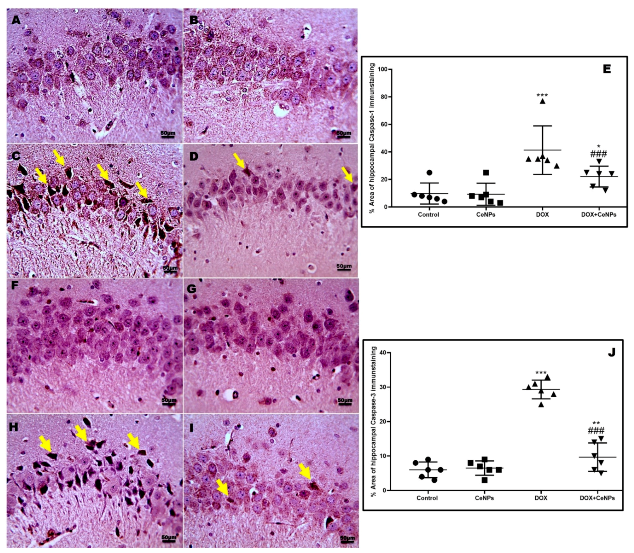 Pharmaceuticals 15 00918 g009