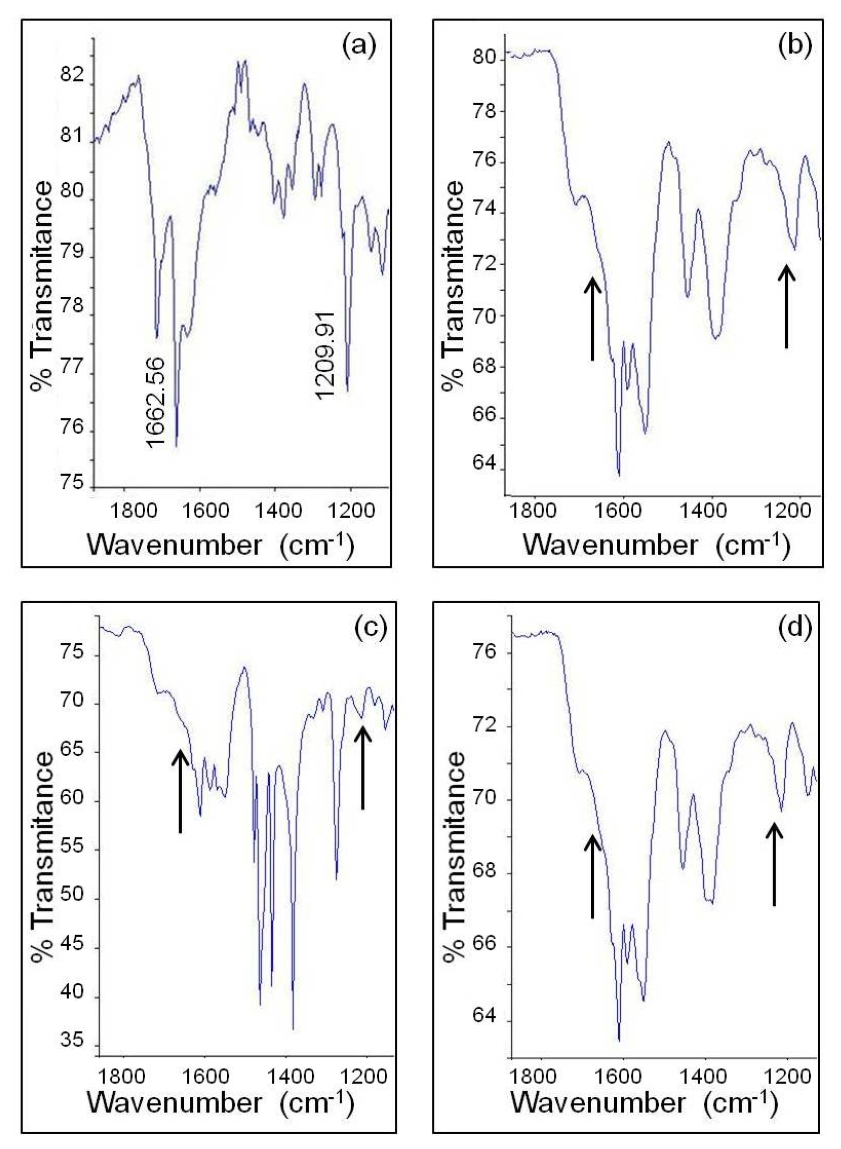 Pharmaceuticals 15 00921 g008