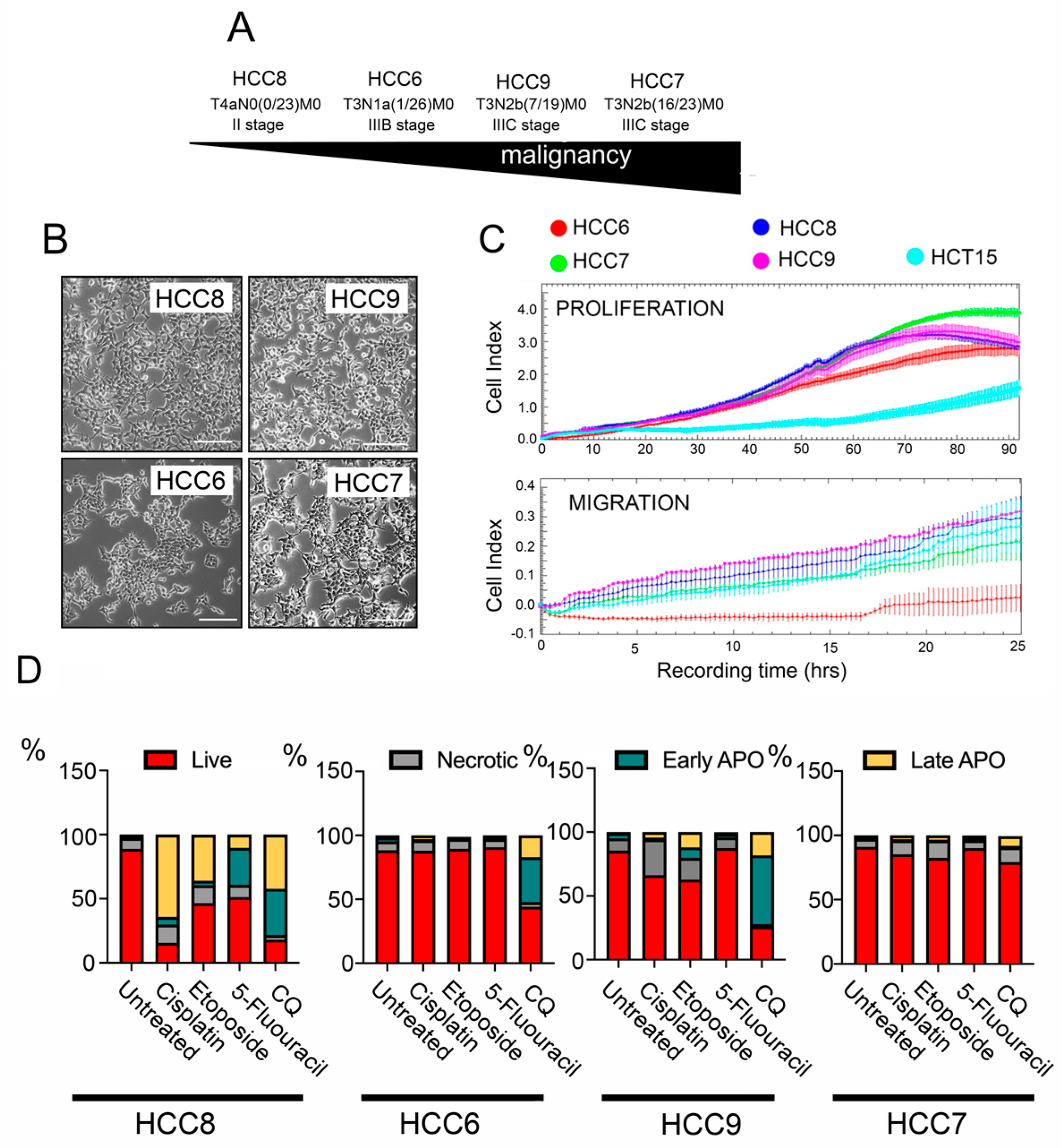 Pharmaceuticals 15 00923 g001
