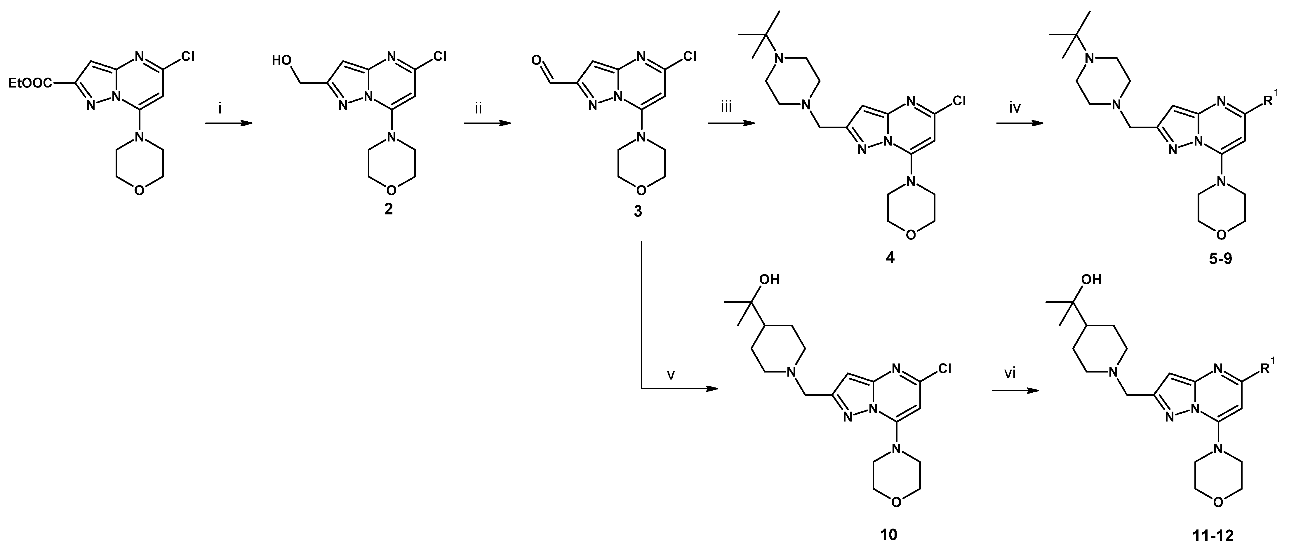 Pharmaceuticals 15 00927 sch001 Pharmaceuticals 15 00927 sch001