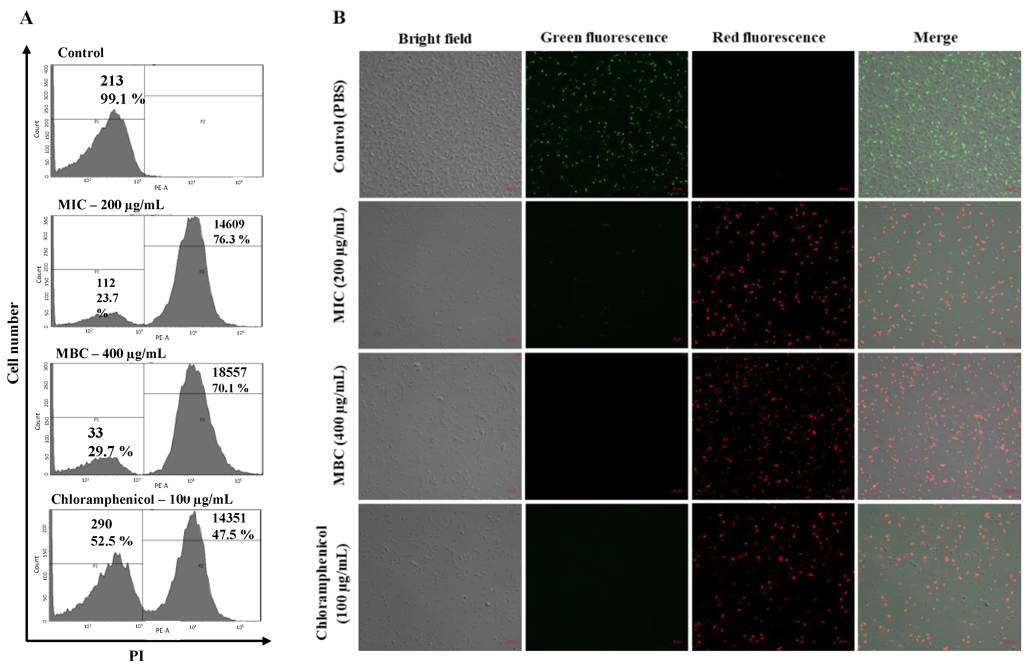 Pharmaceuticals 15 00928 g004