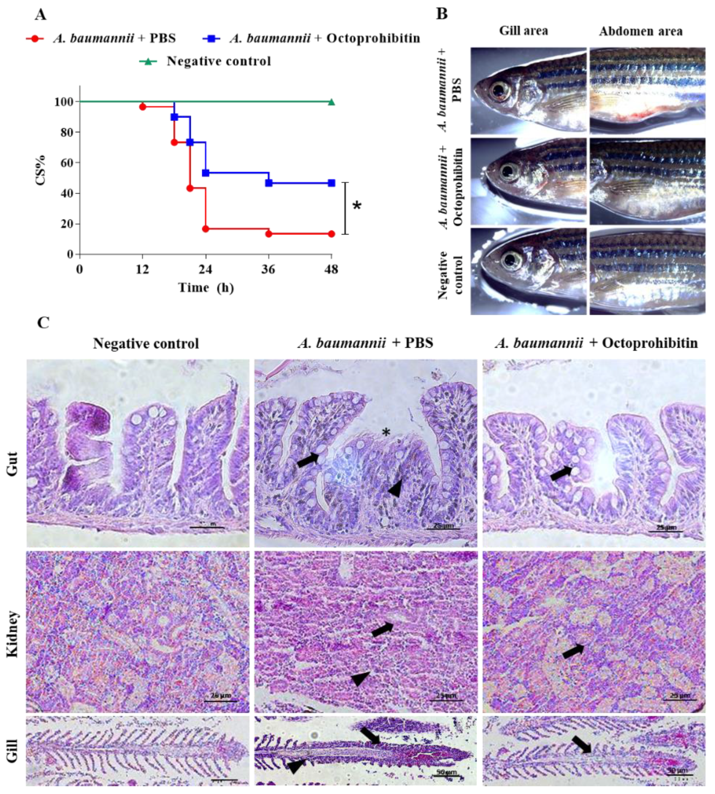Pharmaceuticals 15 00928 g009