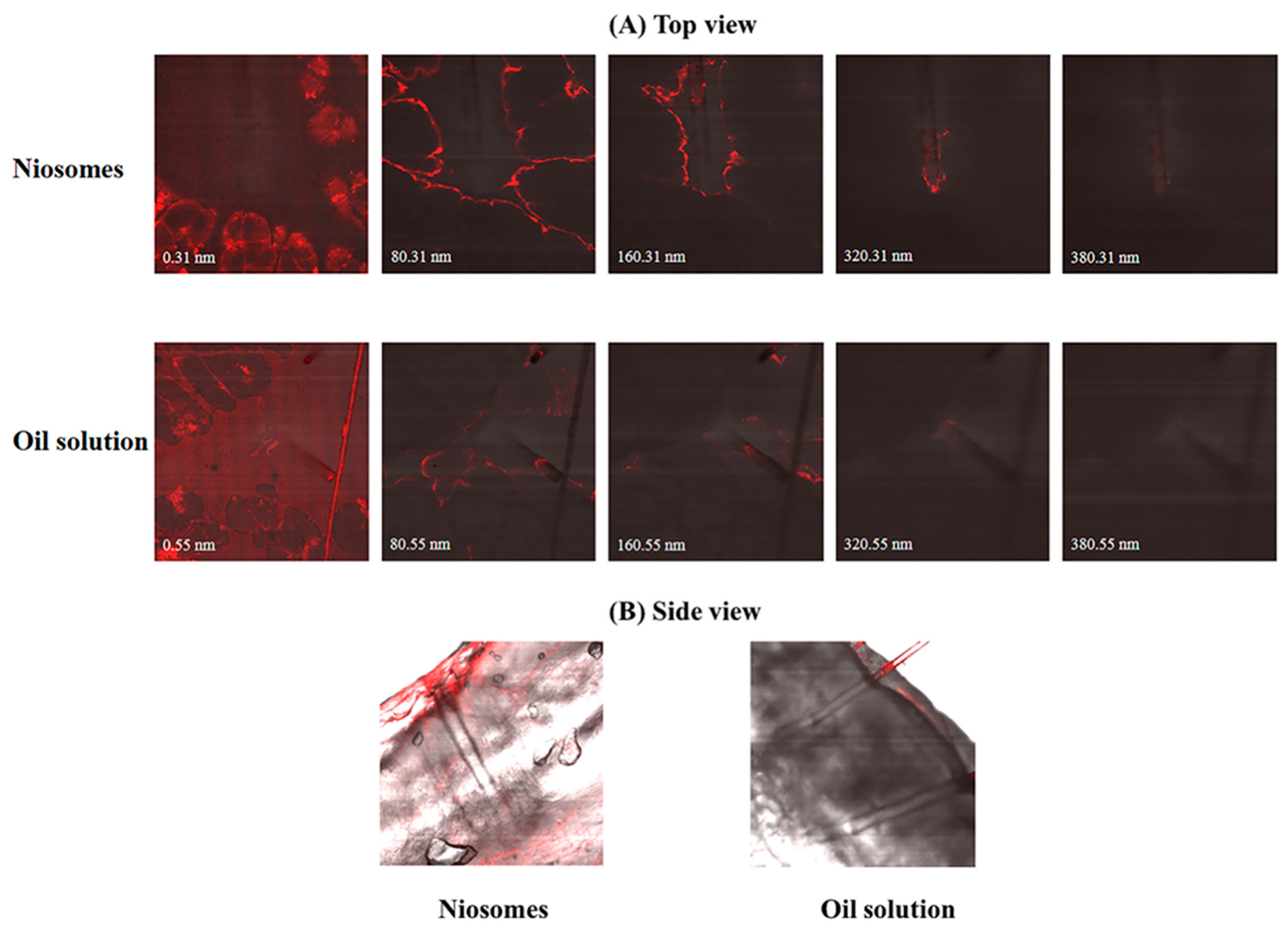 Pharmaceuticals 15 00930 g001