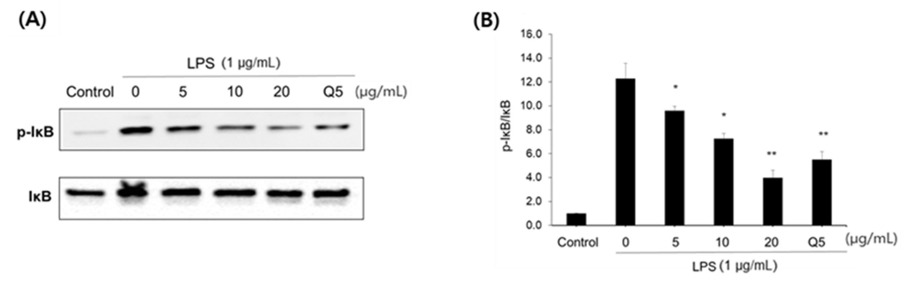 Pharmaceuticals 15 00932 g004