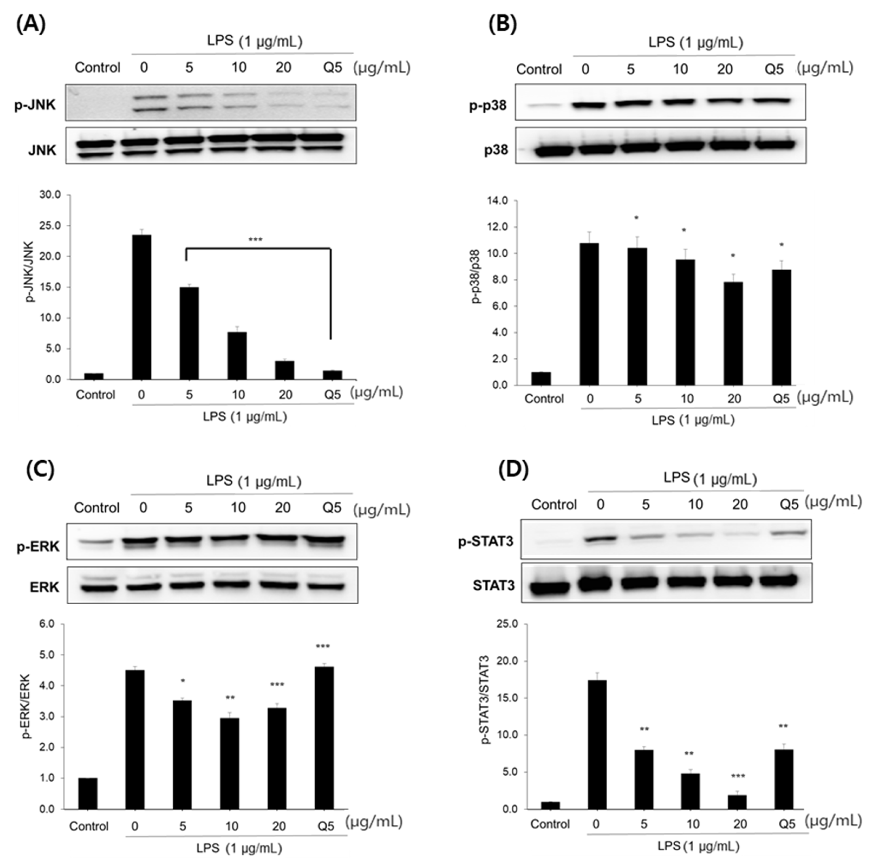 Pharmaceuticals 15 00932 g005