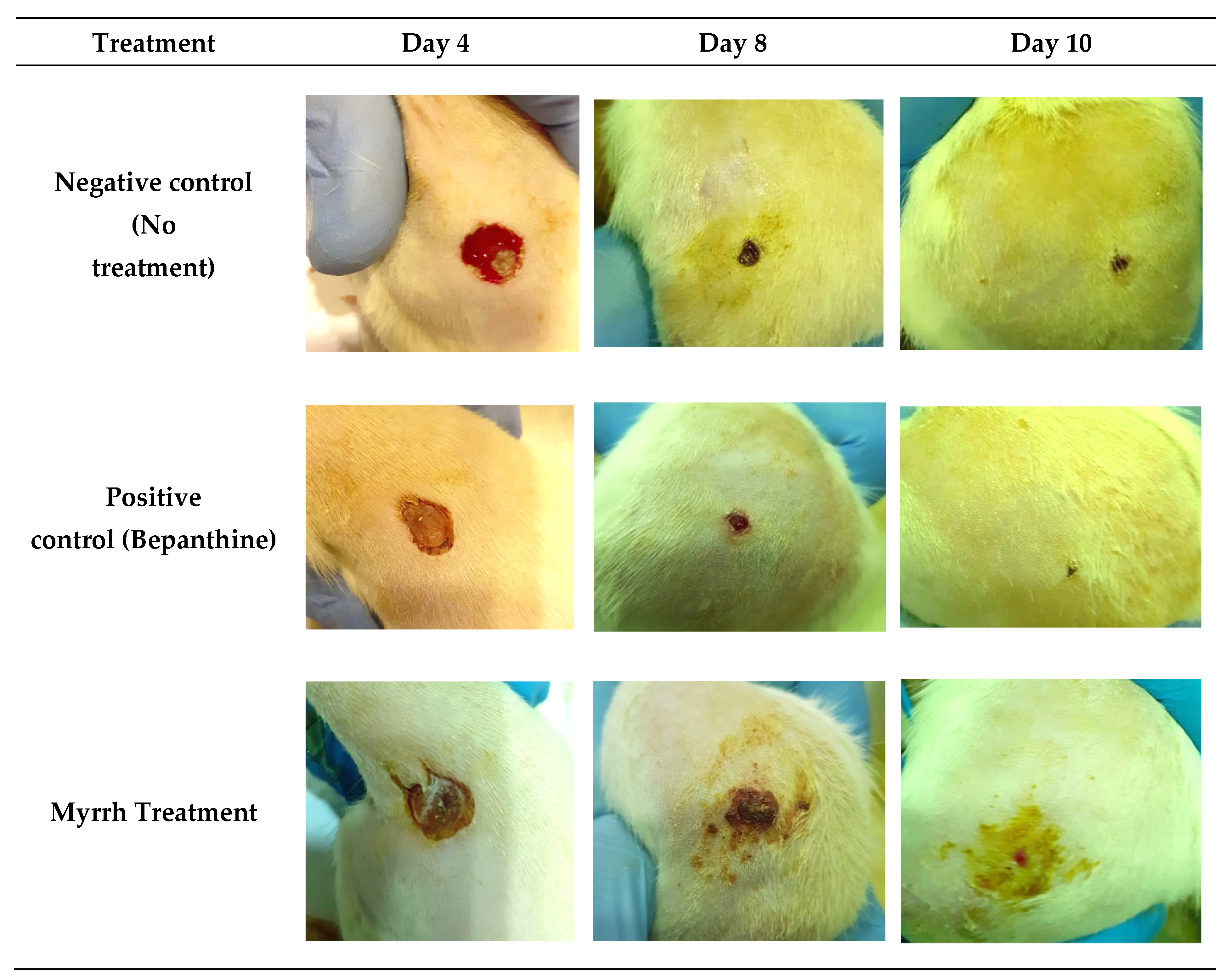 Pharmaceuticals 15 00944 g007