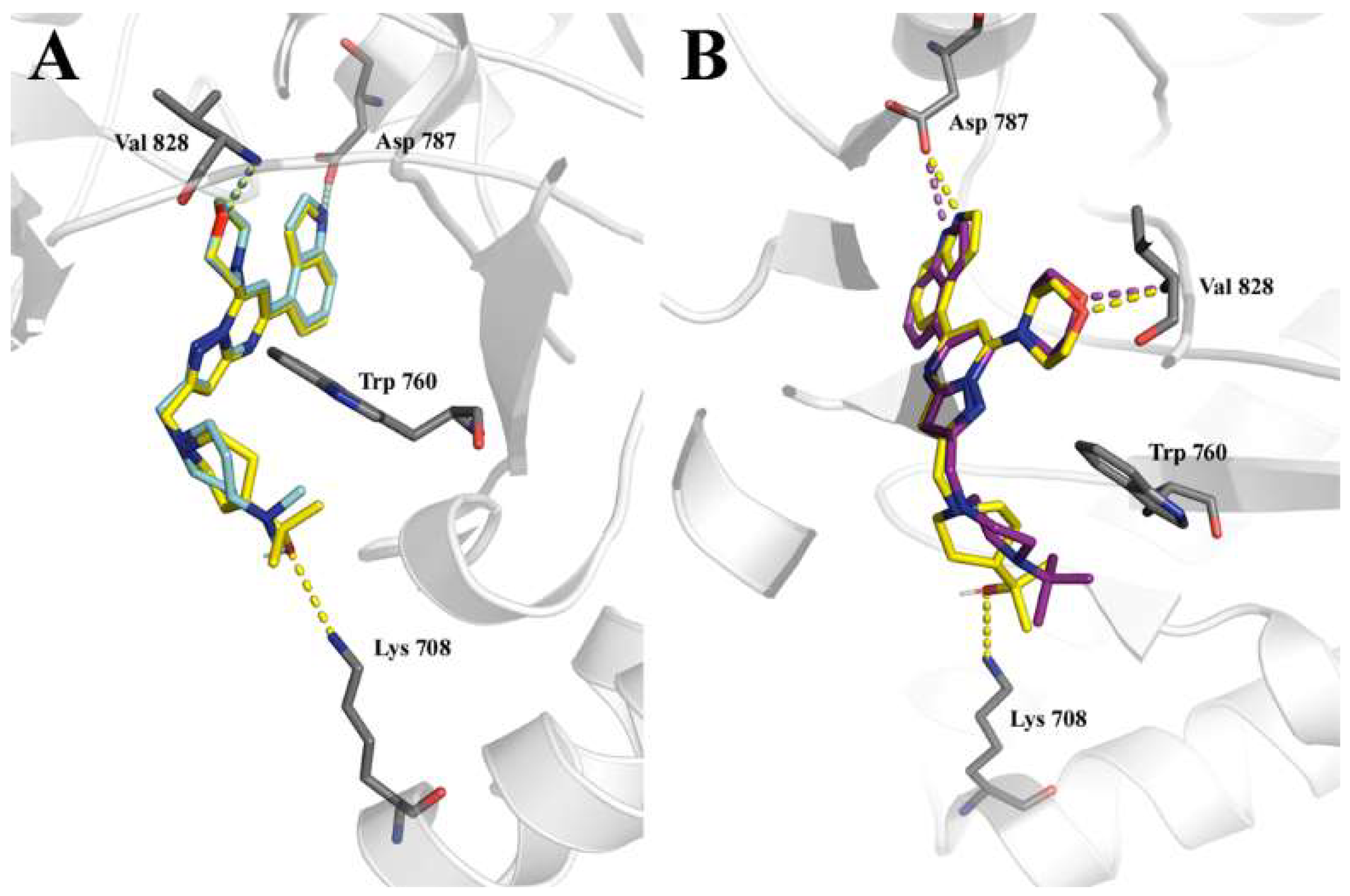 Pharmaceuticals 15 00949 g003