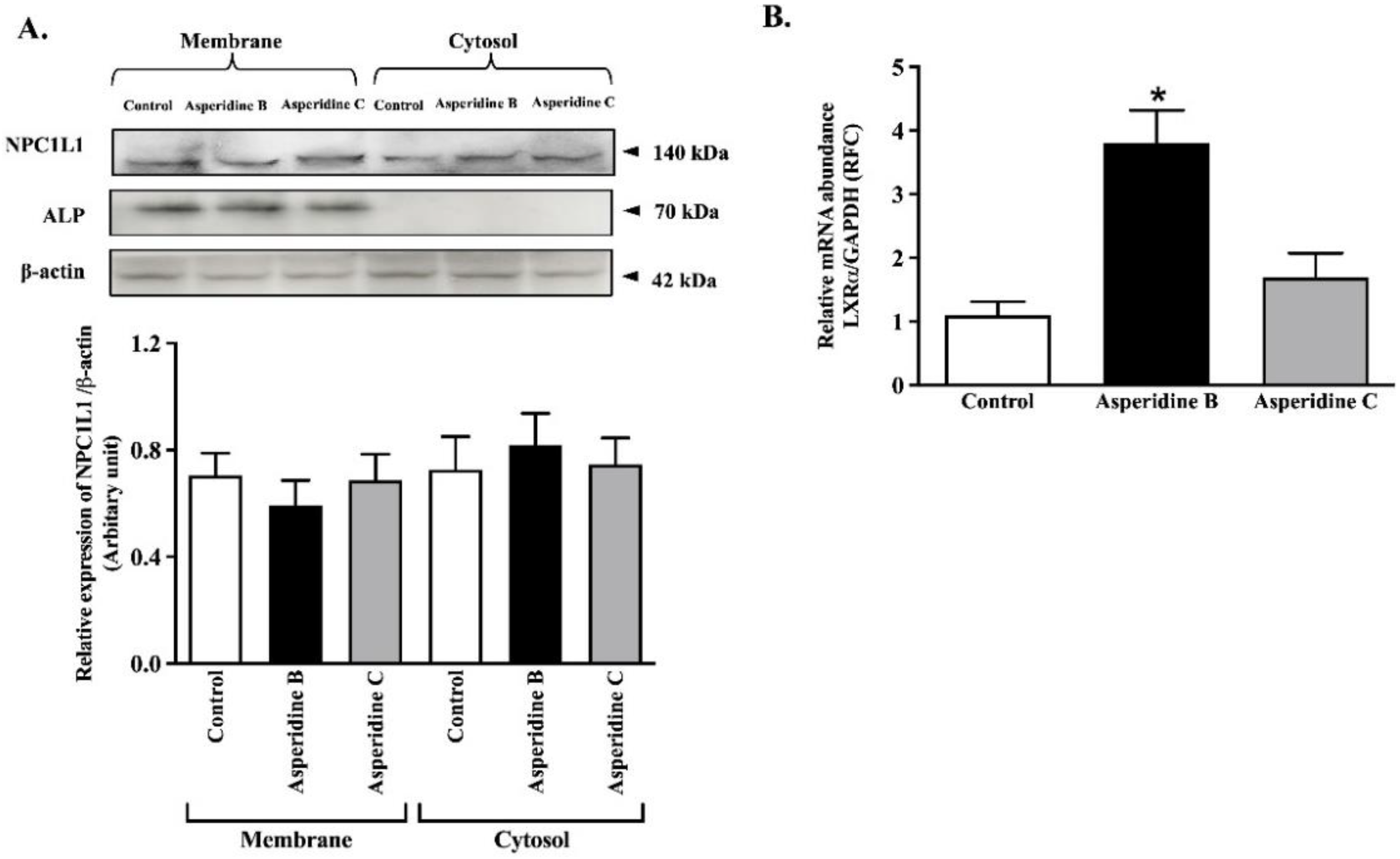 Pharmaceuticals 15 00955 g004