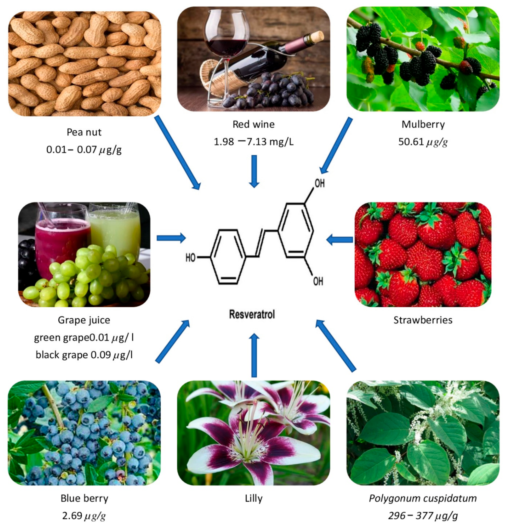 Pharmaceuticals 15 00957 g001