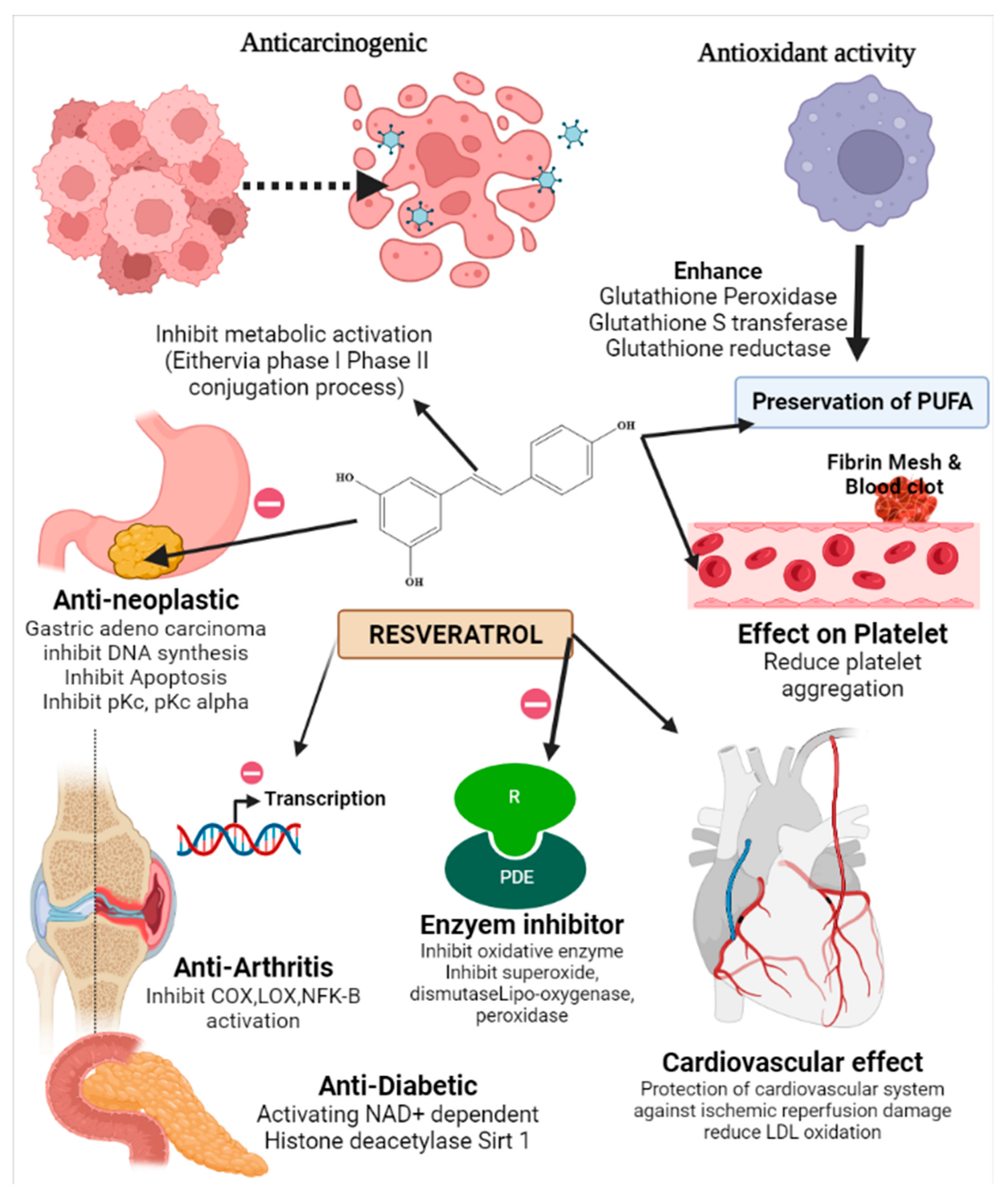 Pharmaceuticals 15 00957 g002