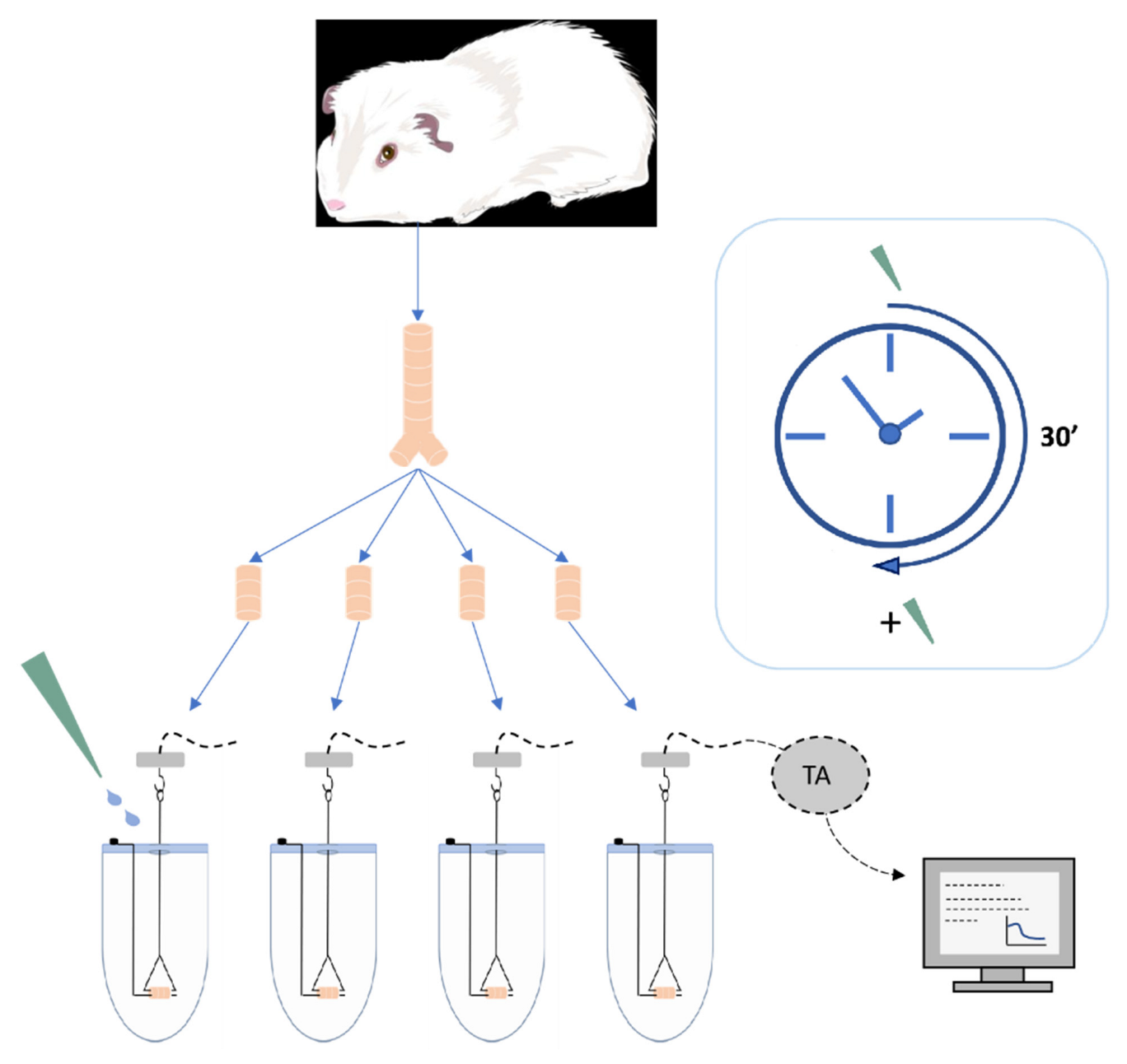 Pharmaceuticals 15 00963 g005