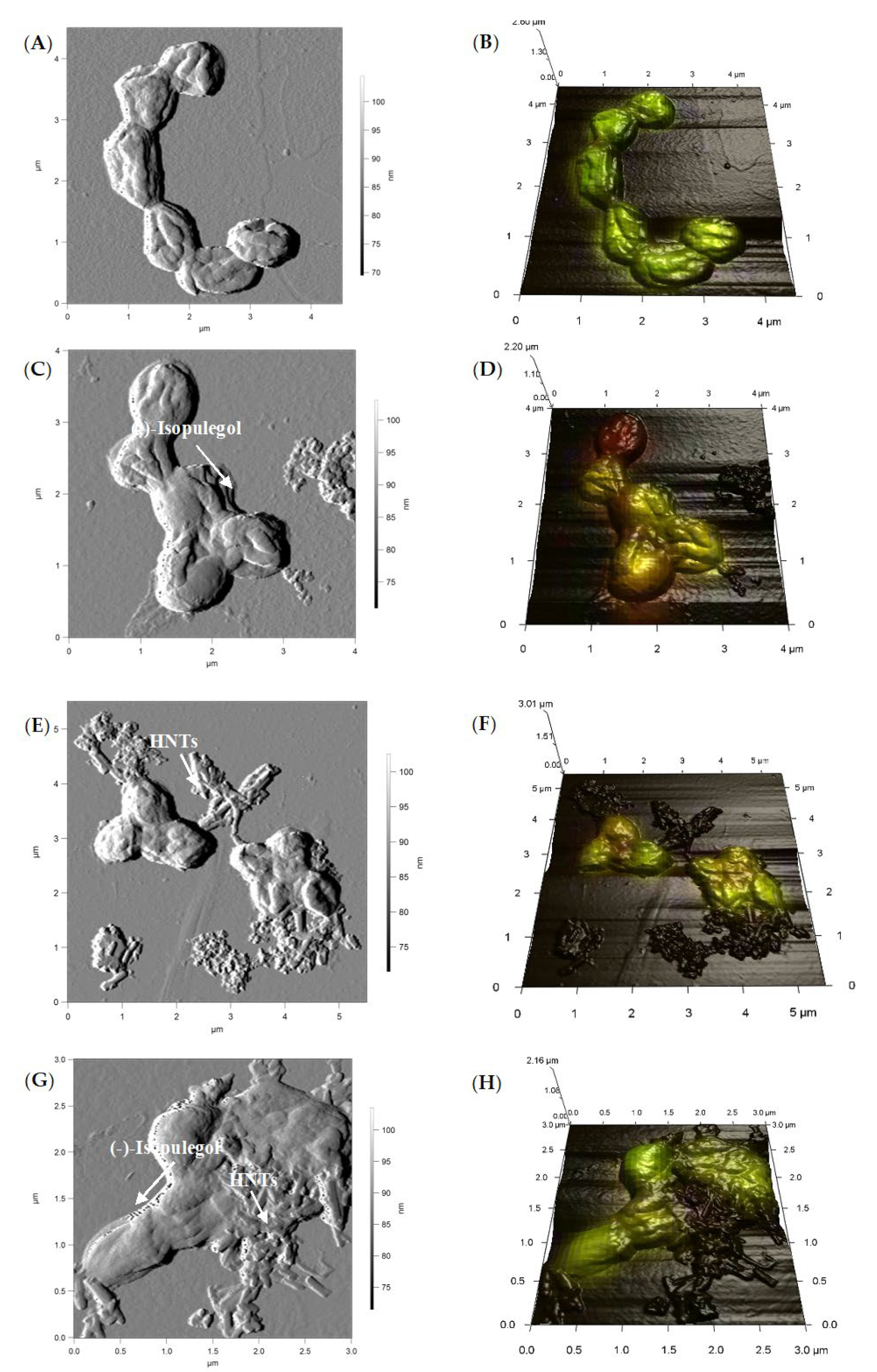 Pharmaceuticals 15 00964 g005
