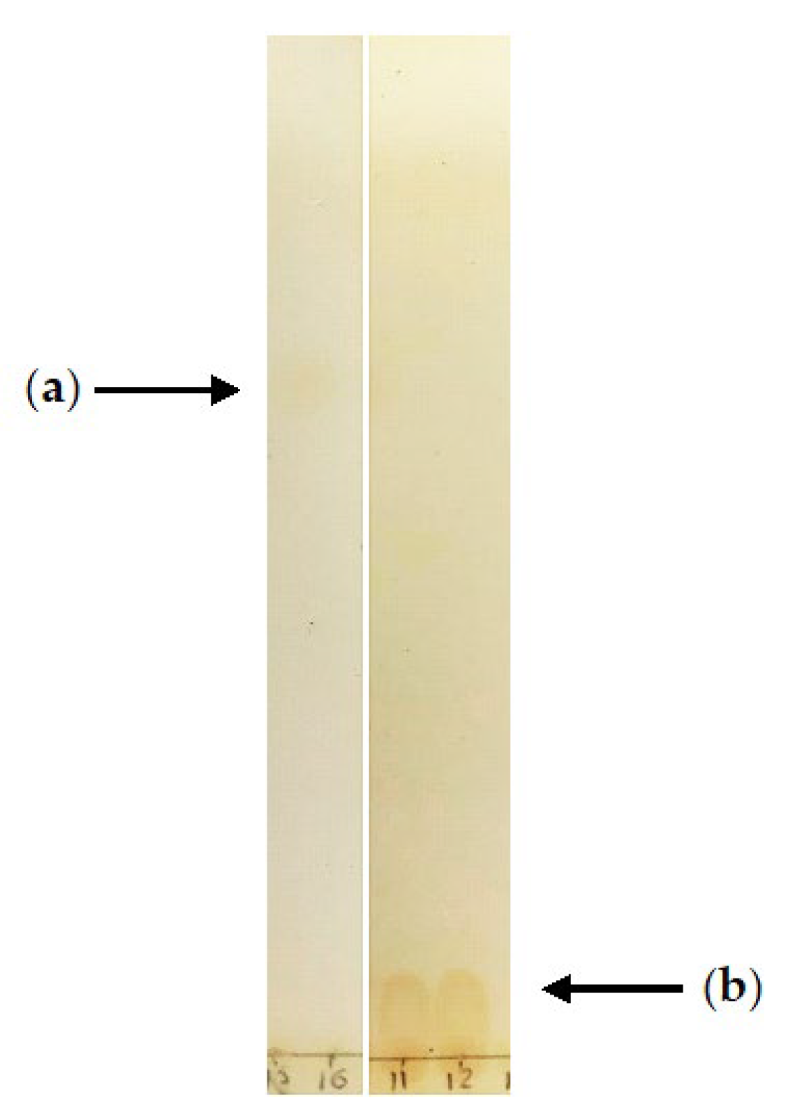 Pharmaceuticals 15 00964 g007