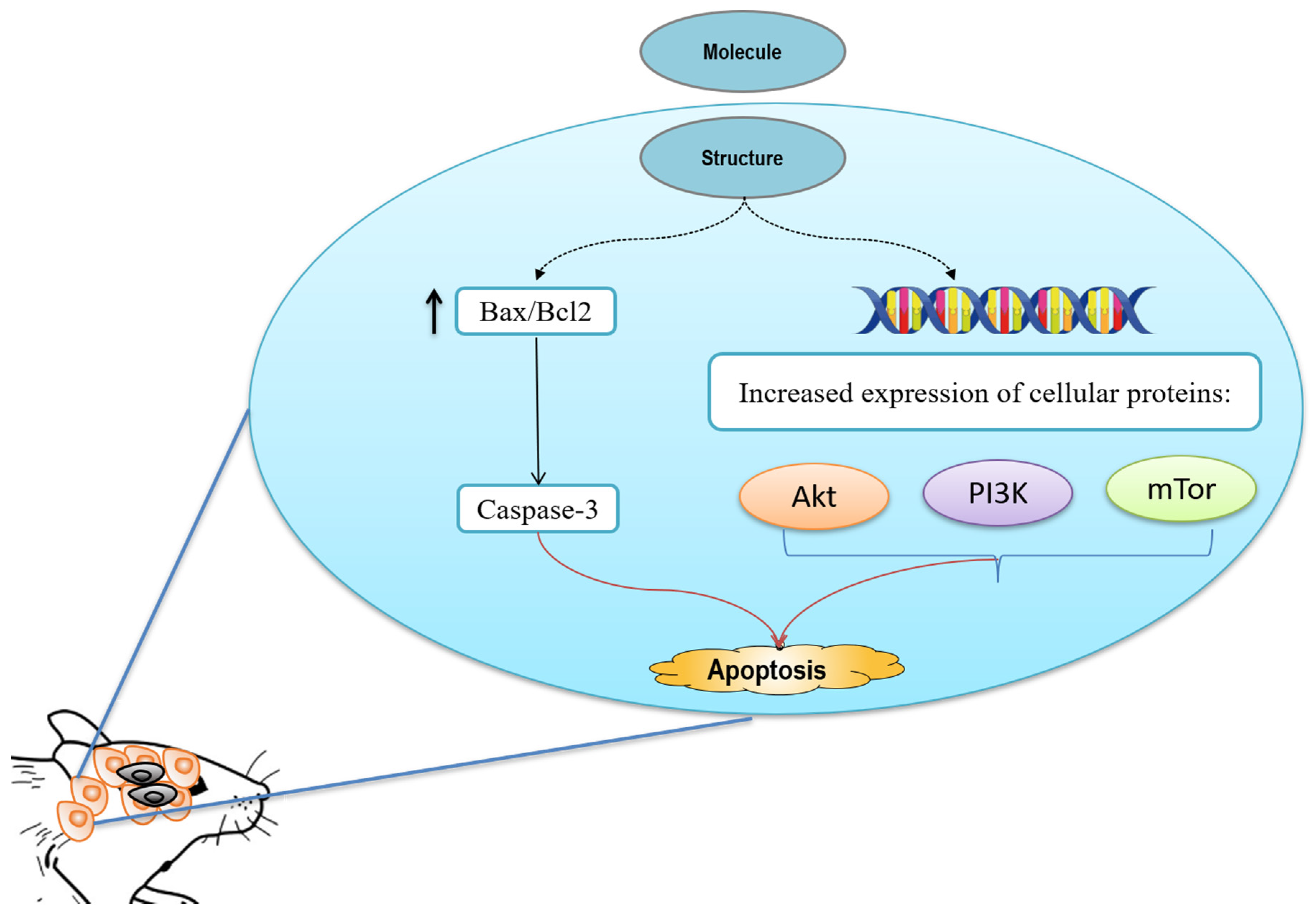 Pharmaceuticals 15 00973 g003