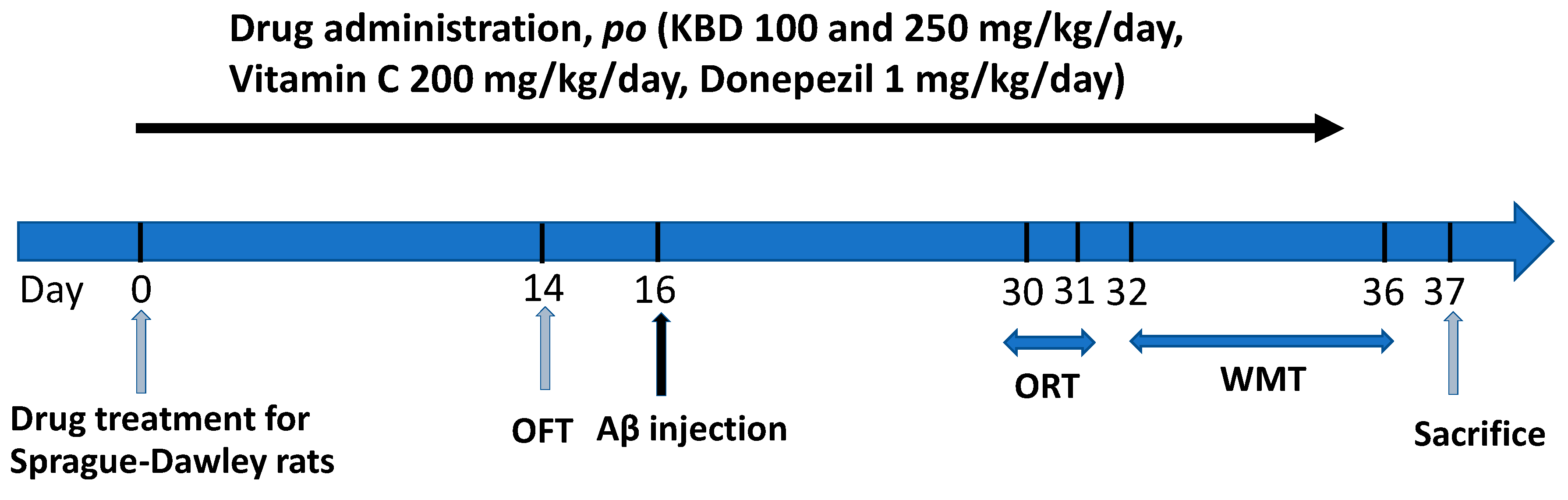 Pharmaceuticals 15 00988 g011