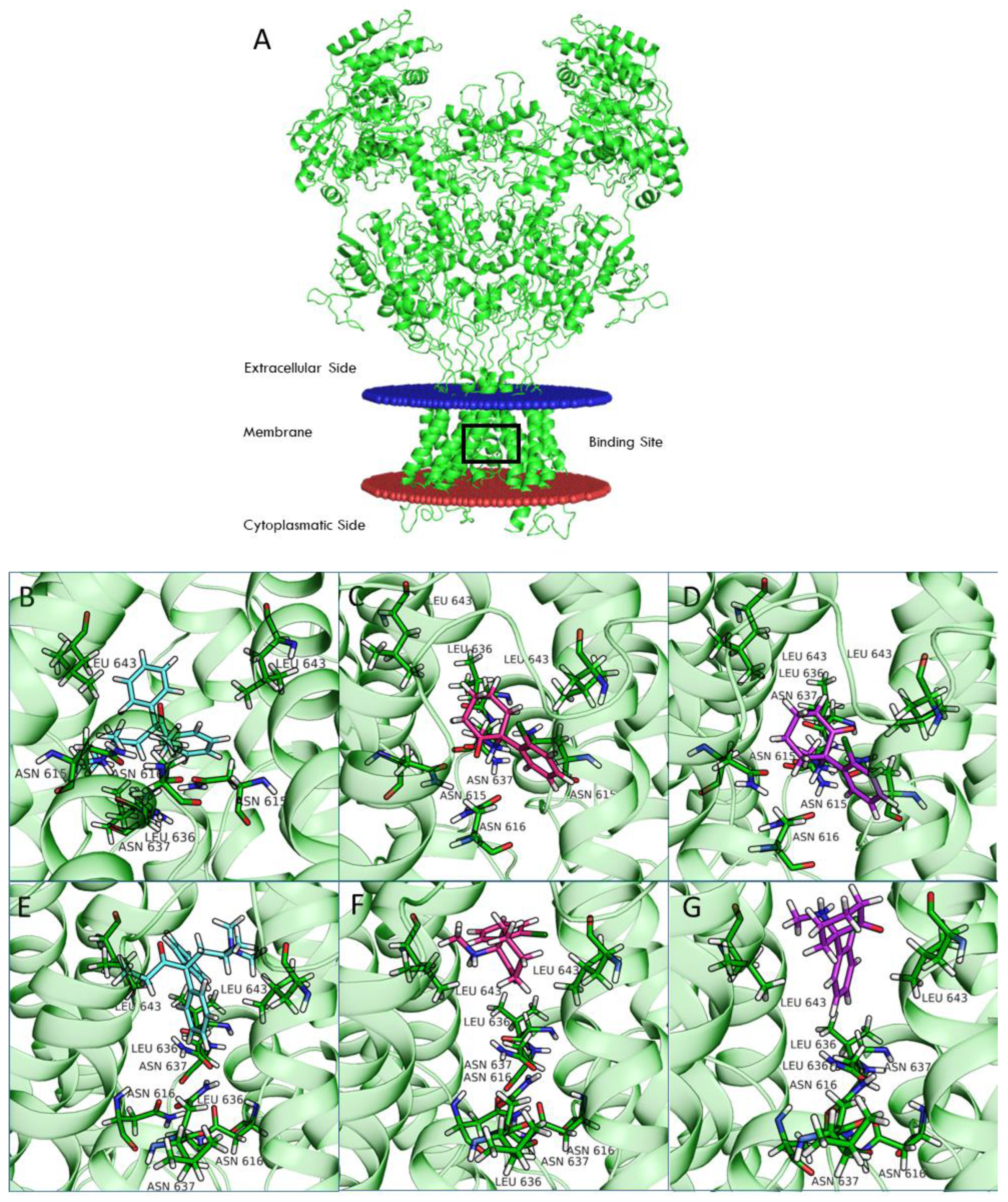 Pharmaceuticals 15 00997 g007 Pharmaceuticals 15 00997 g007