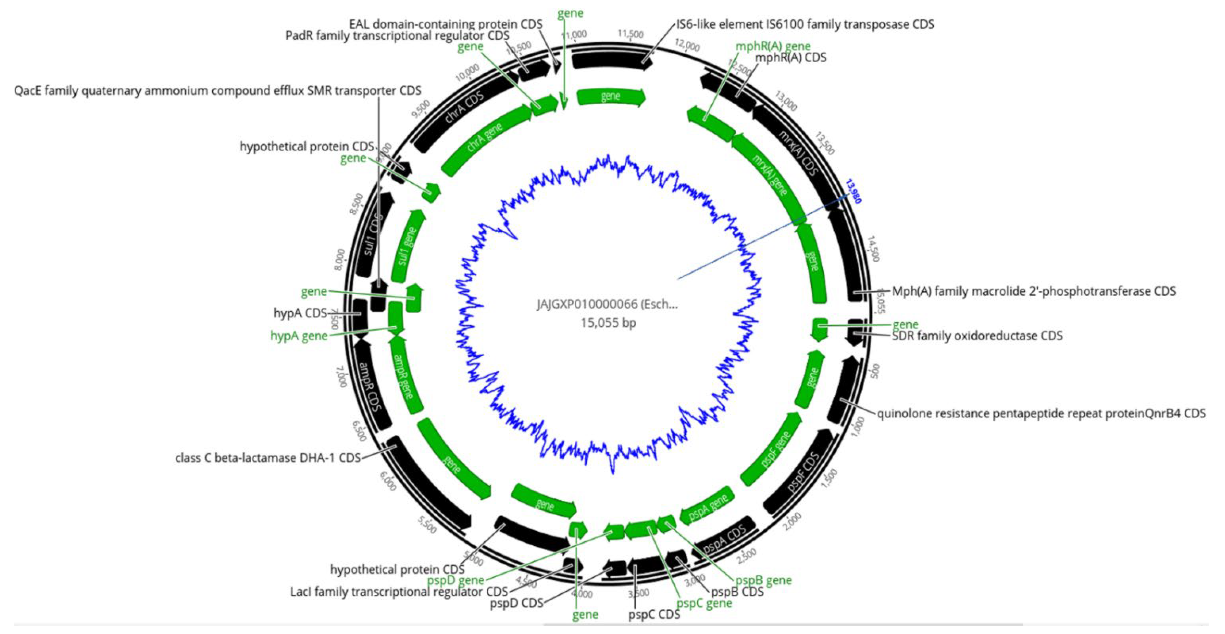 Pharmaceuticals 15 01011 g003