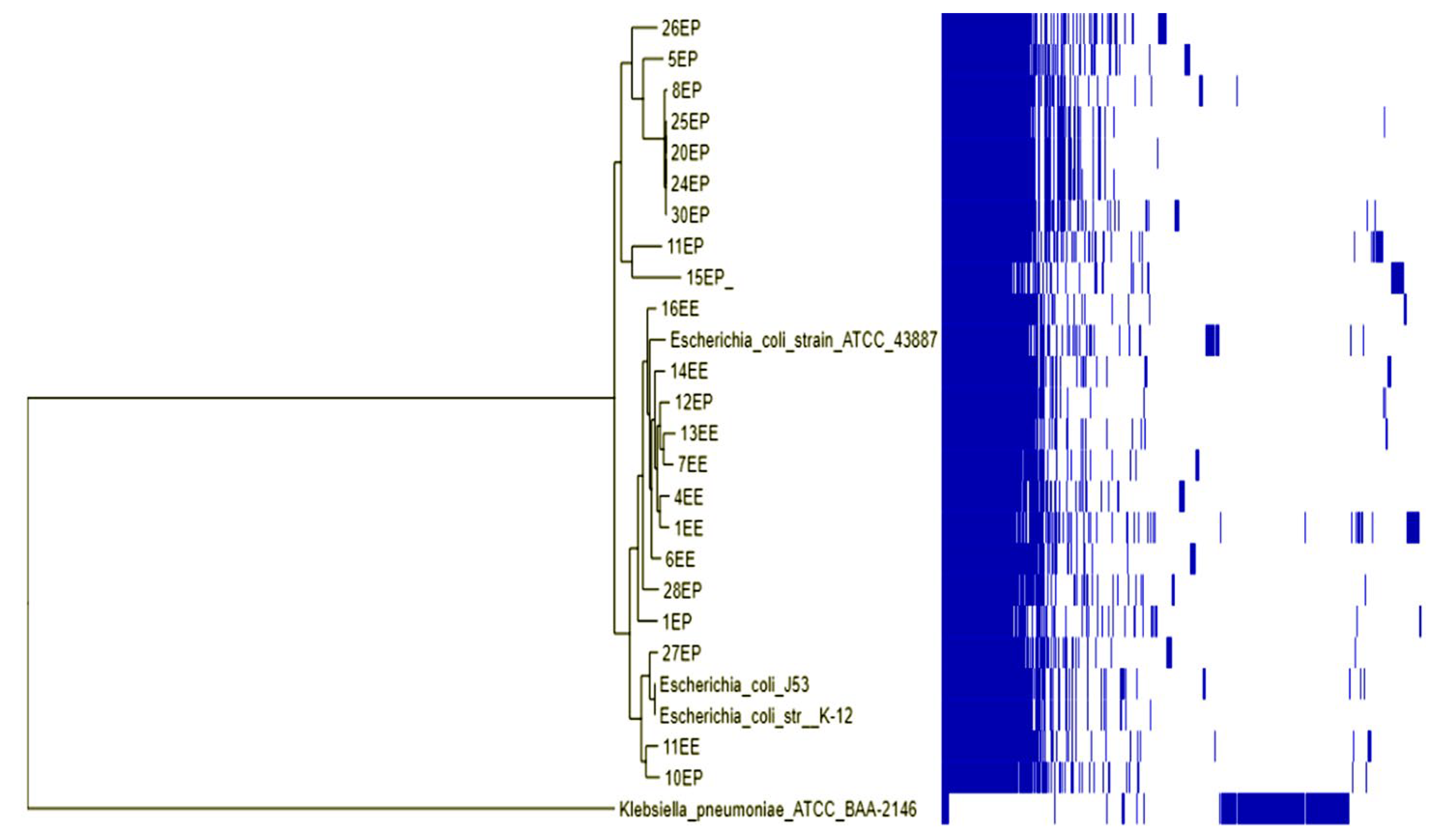 Pharmaceuticals 15 01011 g005